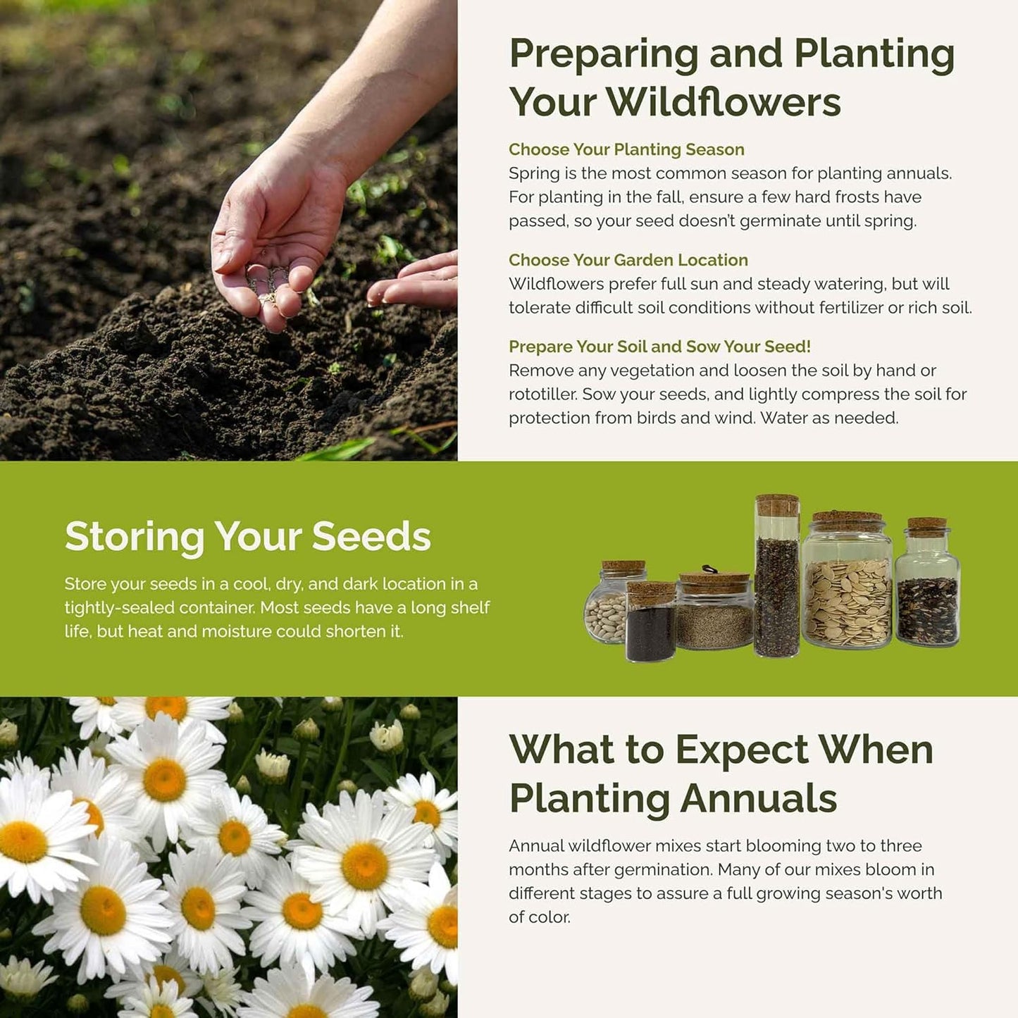 Eden Brothers Cloud 9 Flower Mixed Seeds for Planting, 1/4 lb, 120,000+ Seeds with White Candytuft, Cosmos Purity | Attracts Pollinators, Plant in Spring or Fall, Zones 3, 4, 5, 6, 7, 8, 9, 10