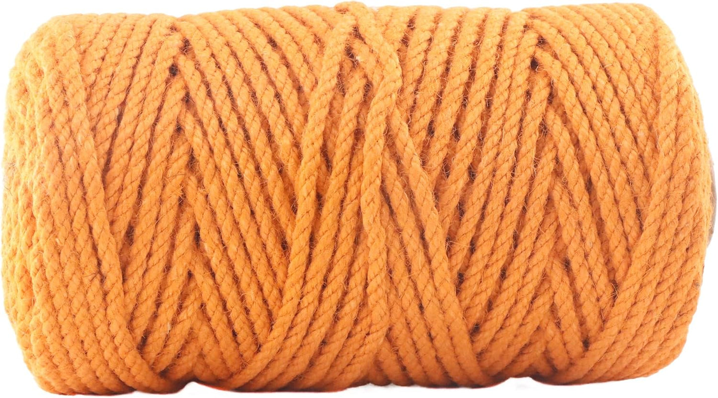 4mm x 200 Feet Orange Jute Rope, Twine for Gardening Tomato Climbing Plant Tie Floristry Crafts Gift Wrapping Packing Decor