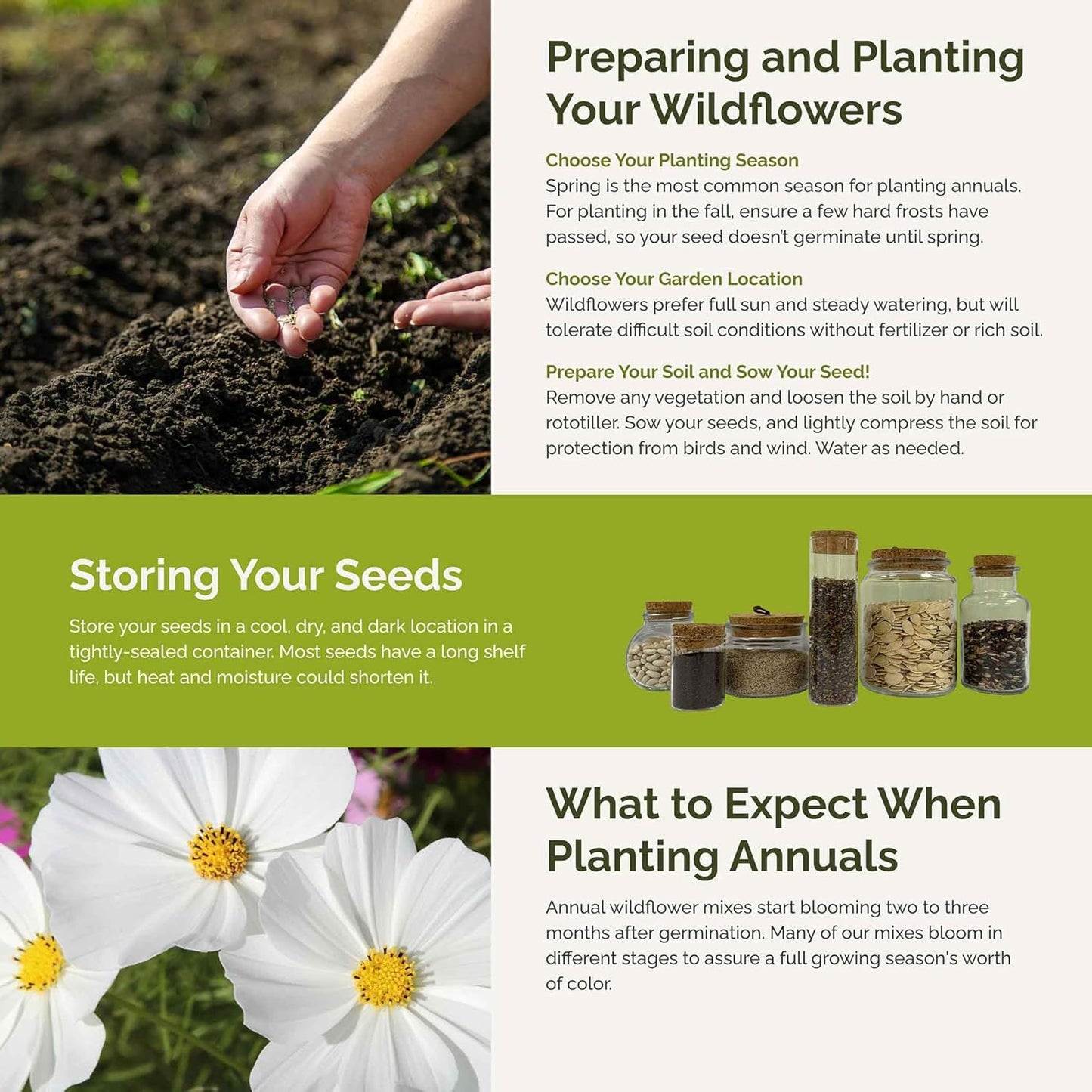 Eden Brothers Moon Garden Flower Mixed Seeds for Planting, 1 lb, 480,000+ Seeds with Cosmos Purity, Bishop's Flower | Attracts Pollinators, Plant in Spring or Fall, Zones 3, 4, 5, 6, 7, 8, 9, 10