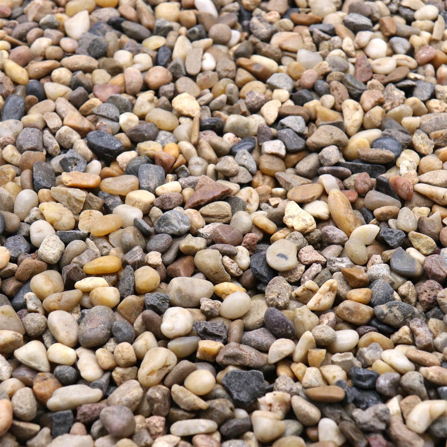 Rocks for Plants. Mixed Color Decorative Pebbles. 1/5 Inch 10 lbs. for Garden, Landscaping, Indoor, Vase fillers, Crafting, Succulents, pots, Plants (Mini, Mixed Color, 10)