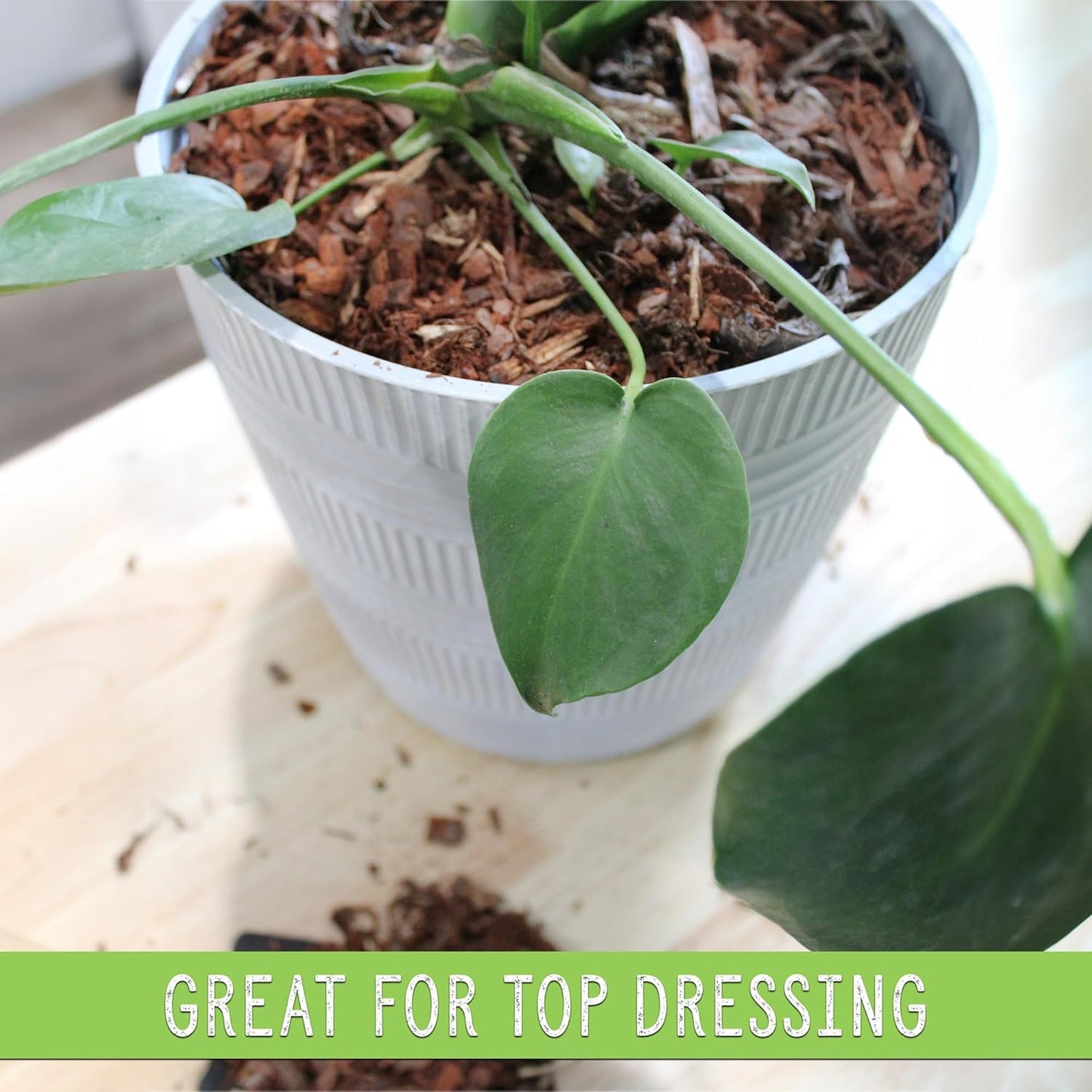 Houseplant Mulch (8 Quarts), Small Bark Wood Chips for Indoor, Patio, Potting Media, and Much More!