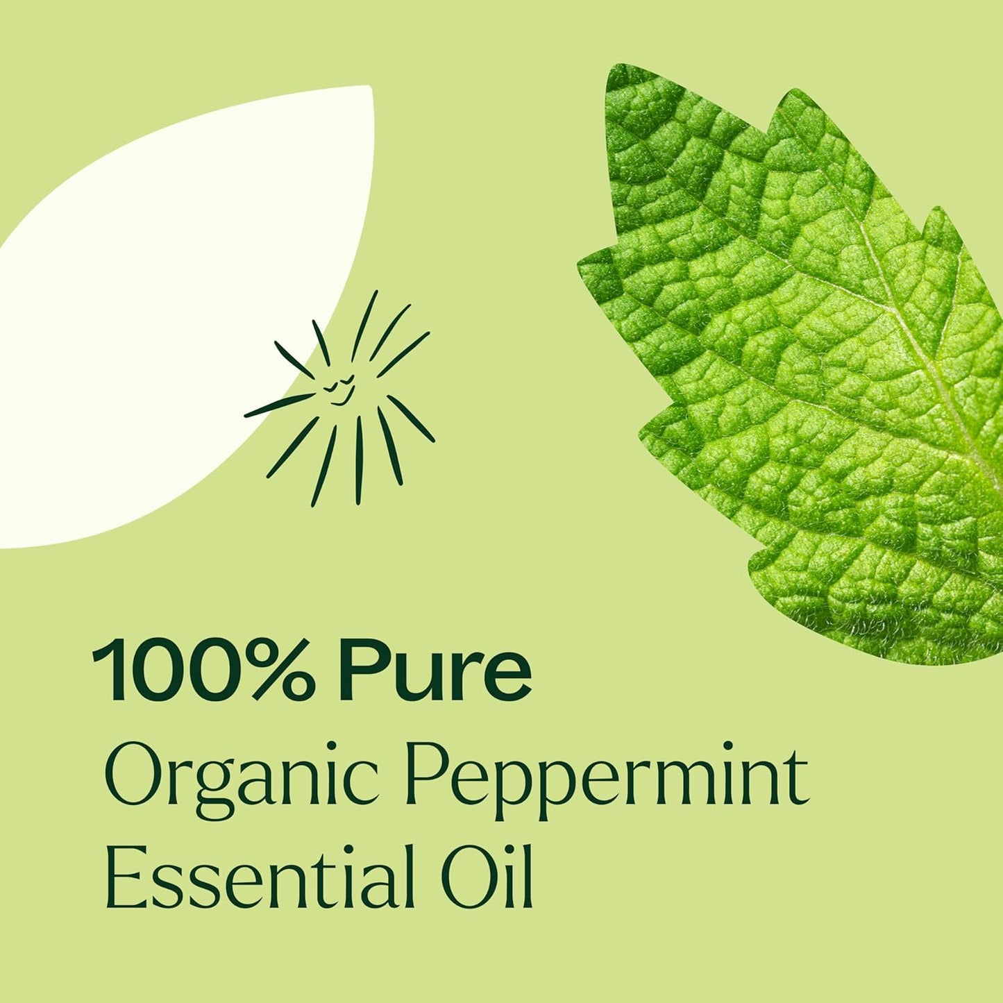 Plant Therapy Organic Peppermint Essential Oil 100% Pure, USDA Certified Organic, Undiluted, Natural Aromatherapy, for Diffusion, Skin, Hair, Therapeutic Grade 100 mL (3.3 oz)