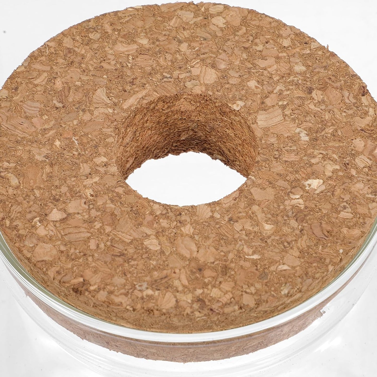 Glass Plant Jar -Plants Propagation Station - Micro Landscape Terrarium Container Desktop Plant Jar Hydroponic Vases Gardening for Plant Lovers(Size L)