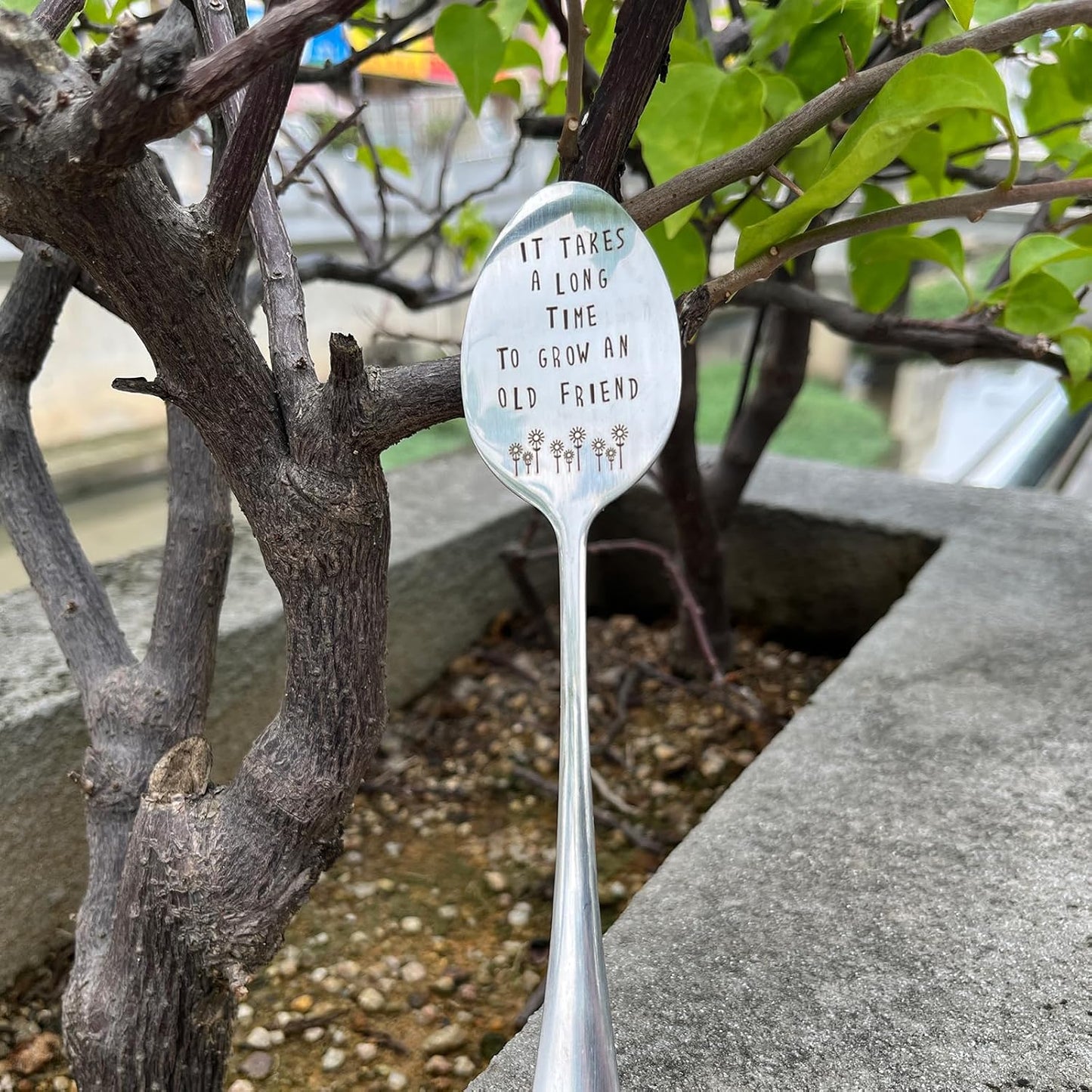 Garden Friendship Gift for Women Gardeners, Plant Marker Stake Label Sign Tag, Gardening Gifts for Woman Plant Lovers, Metal Garden Decoration (Grow an Old Friend-B)