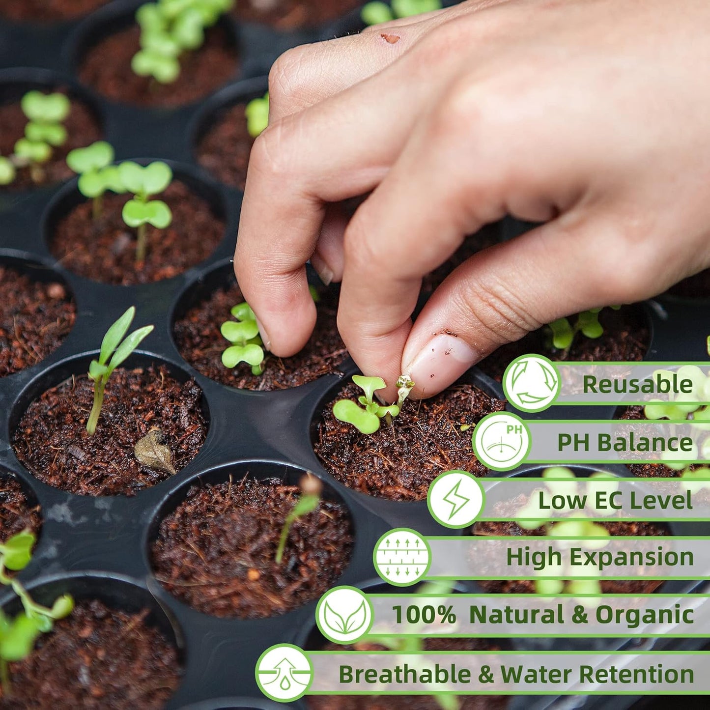 Coco Coir Brick for Plants, 8 Packs 100% Natural Organic Compressed Coconut Coir Fiber with Low EC & PH Balance, High Nutrition Coconut Soil Coco Fiber for Planting, Herbs