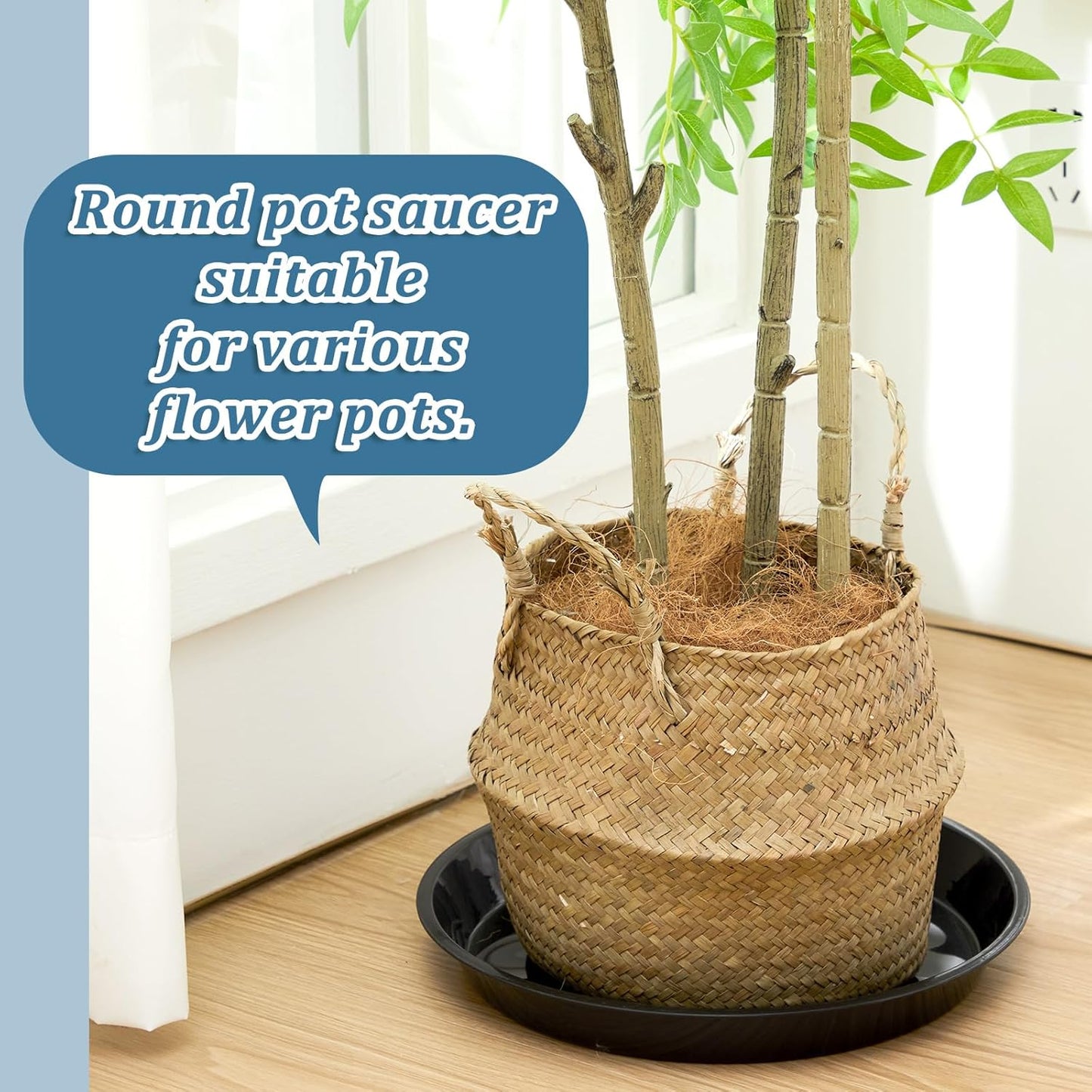 Eccliy 6 Pack Plastic Plant Saucer Heavy Duty Planter Saucers Large Plant Pot Plastic Water Trays for Indoors and Outdoors Flower Drip(12 Inch,Black)