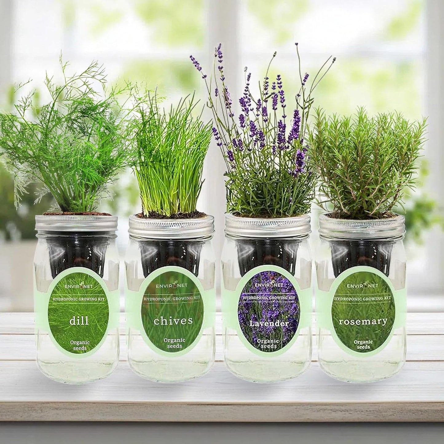 Hydroponic Herb Growing Kit Set, Self-Watering Mason Jar Herb Garden Starter Kit Indoor, Grow 4 Kinds of Herbs from Seeds (Chives,Dill,Lavender&Rosemary)