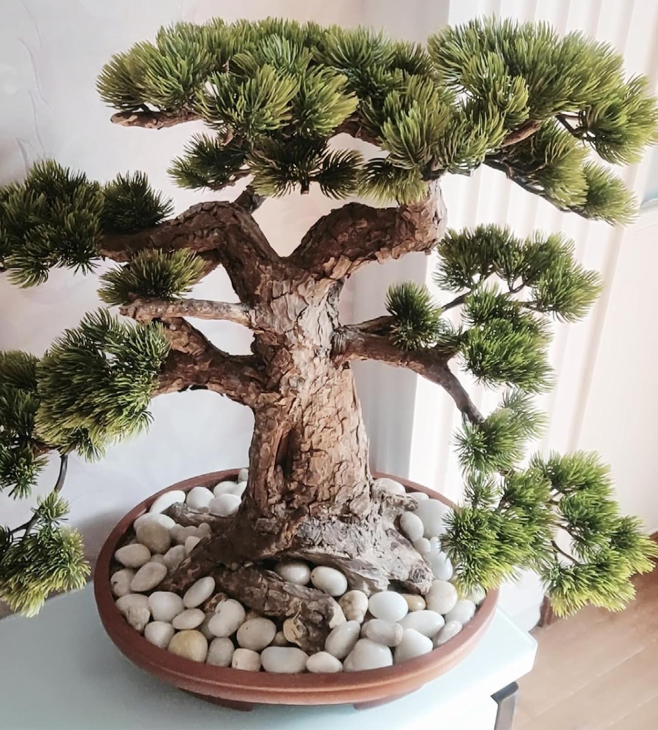 5lbs White Pebbles for Indoor Plants, 0.8-1.2 Inch Smooth White River Rocks for Potted Plants, Decorative Polished Stones for Landscaping Vase Fish Tank and Outdoor Garden Pavers