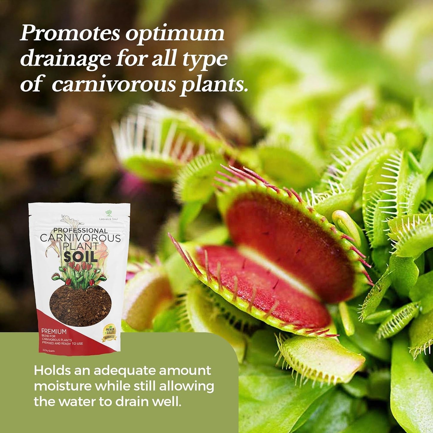 Professional Carnivorous Plant Soil | Large 2.2 Quarts Ready to Use for Venus Flytraps, Sundews, Pitcher Plants, Butterworts | Peat Moss, Coco Coir, Perlite, Dolomite | Made in USA