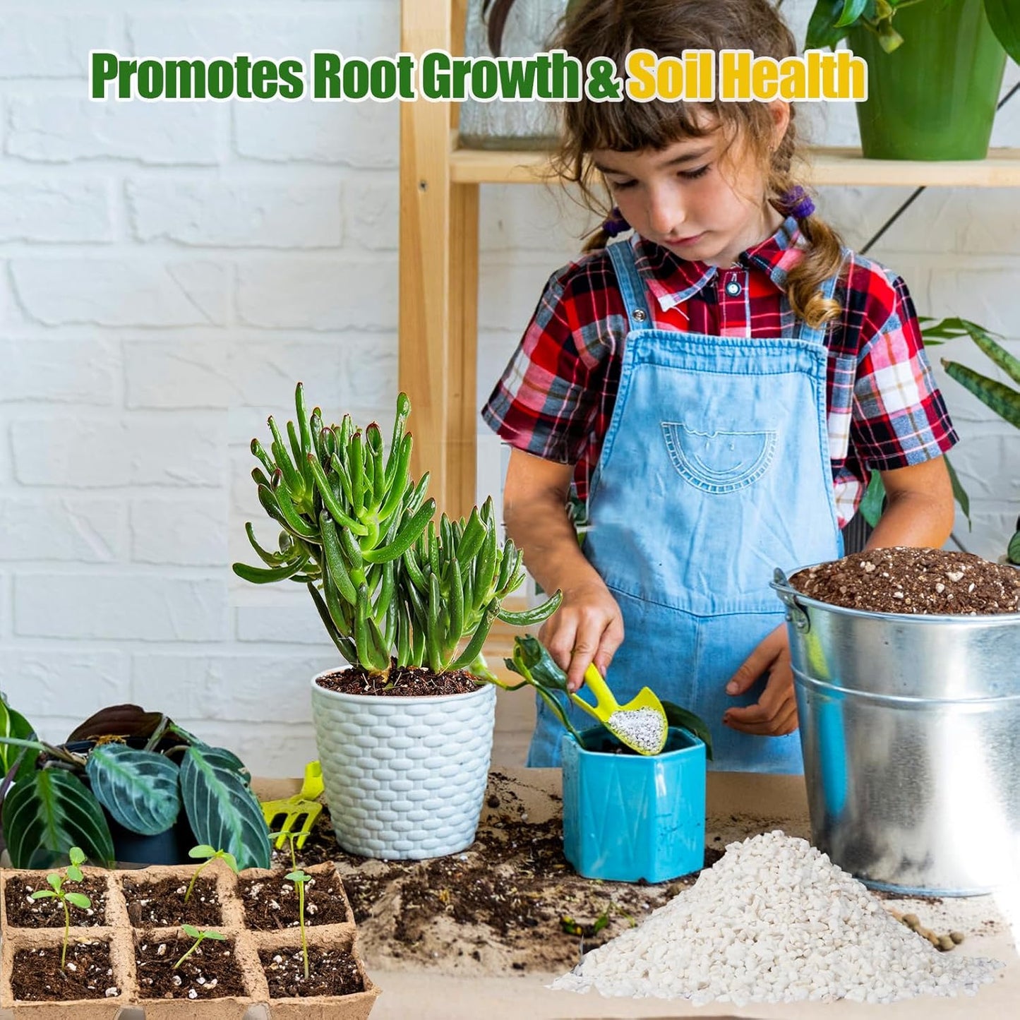 Horticultural Perlite for Plants 4qt, All Natural Horticultural Soil Additive Conditioner Mix, Improve Ventilation and Drainage, Enhance Soil Health and Root Growth