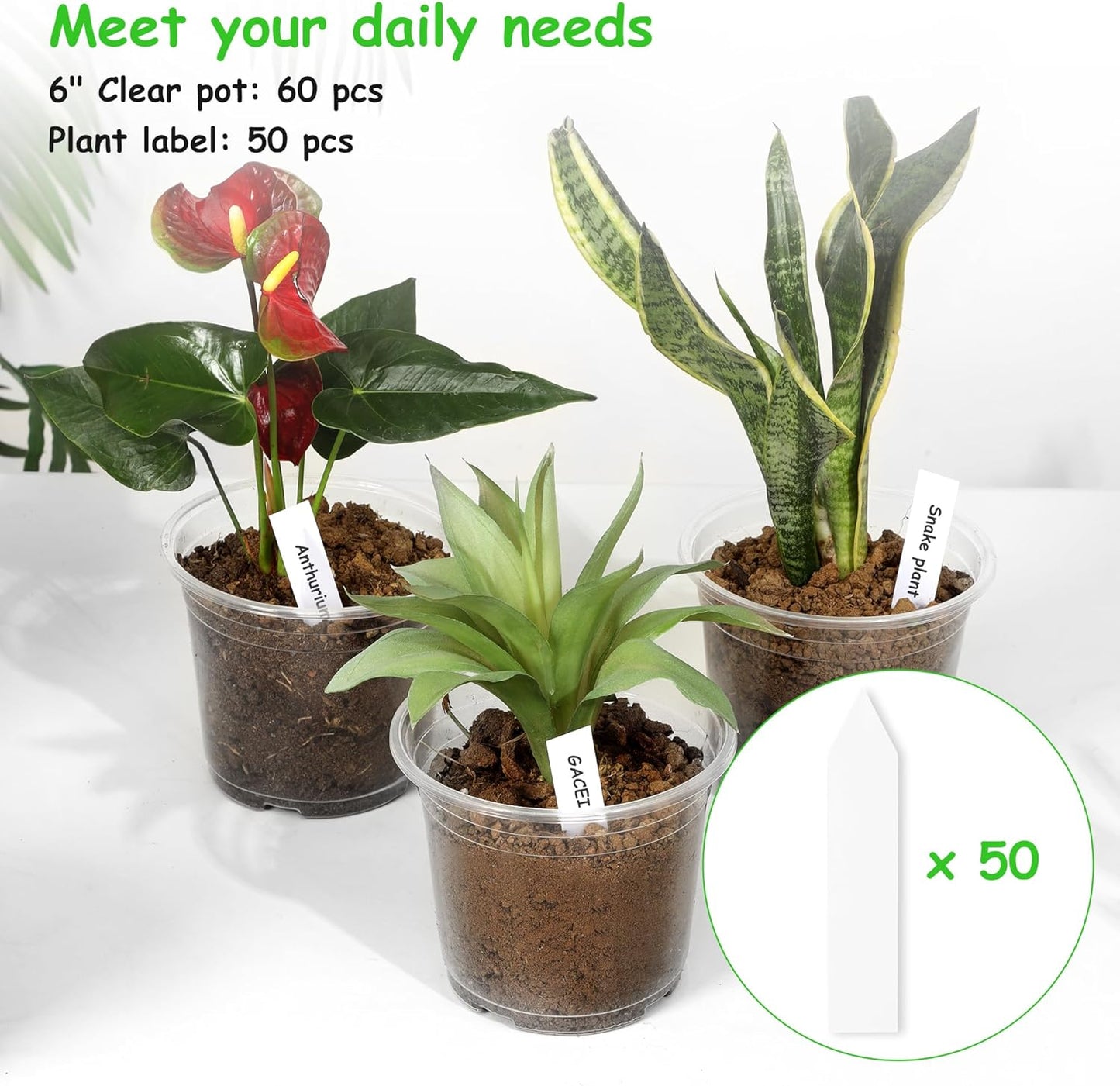 60 Pack 6 Inch Clear Nursery Pots with Drainage Holes, Transparent Plastic Plant Pots, Reinforced Seed Starter Garden Flower Pots, Comes with 50pcs Plant Labels