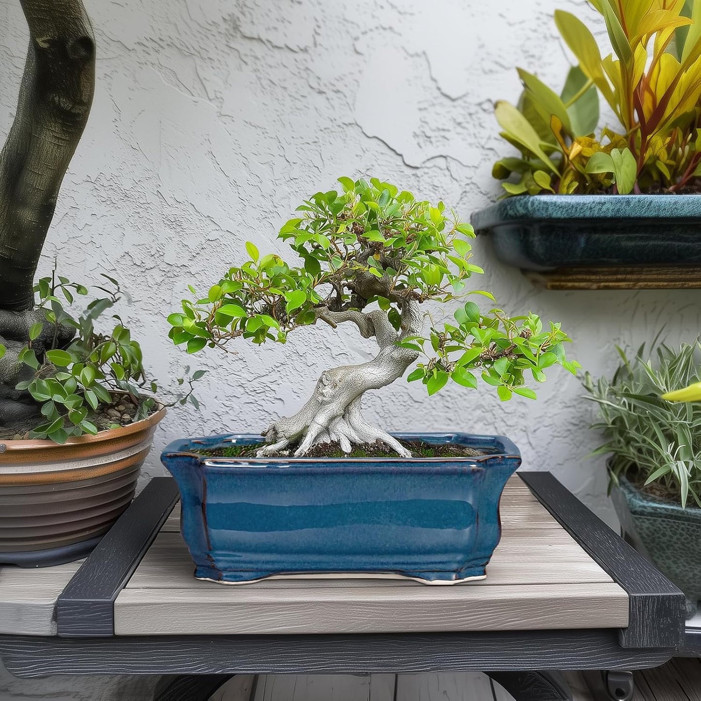 Bonsai Pots 11.6 Inch - Ceramic Succulent Pots with Drainage Hole, Rectangular Planter for Indoor Outdoor, Decorative Ceramic Flower Pot, Home Garden Room Decor, Plant Lover Gifts, Retro Blue