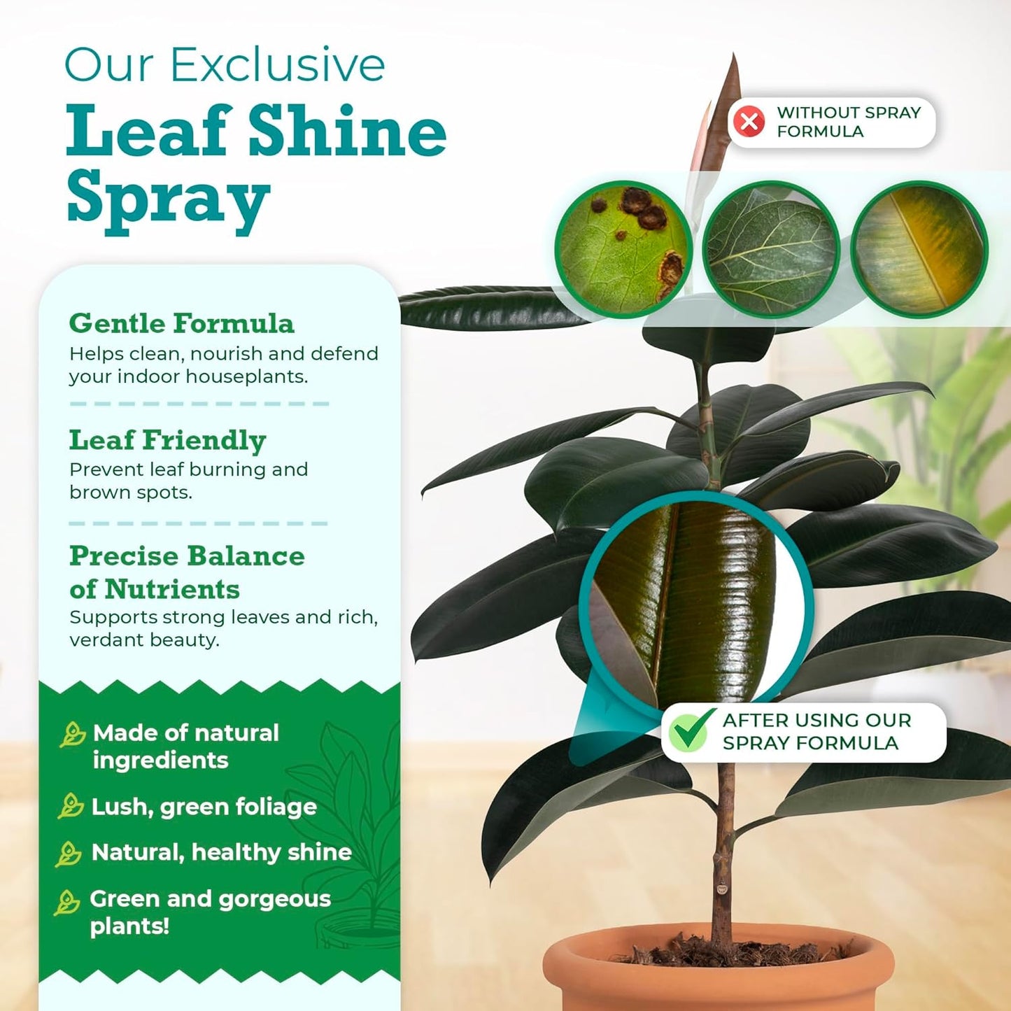 Houseplant Leaf Shine Spray – All-Natural Leaf Cleaner and Gloss for Healthy Shine & Better Photosynthesis | Perfect for House Plants and Foliage | 8 oz