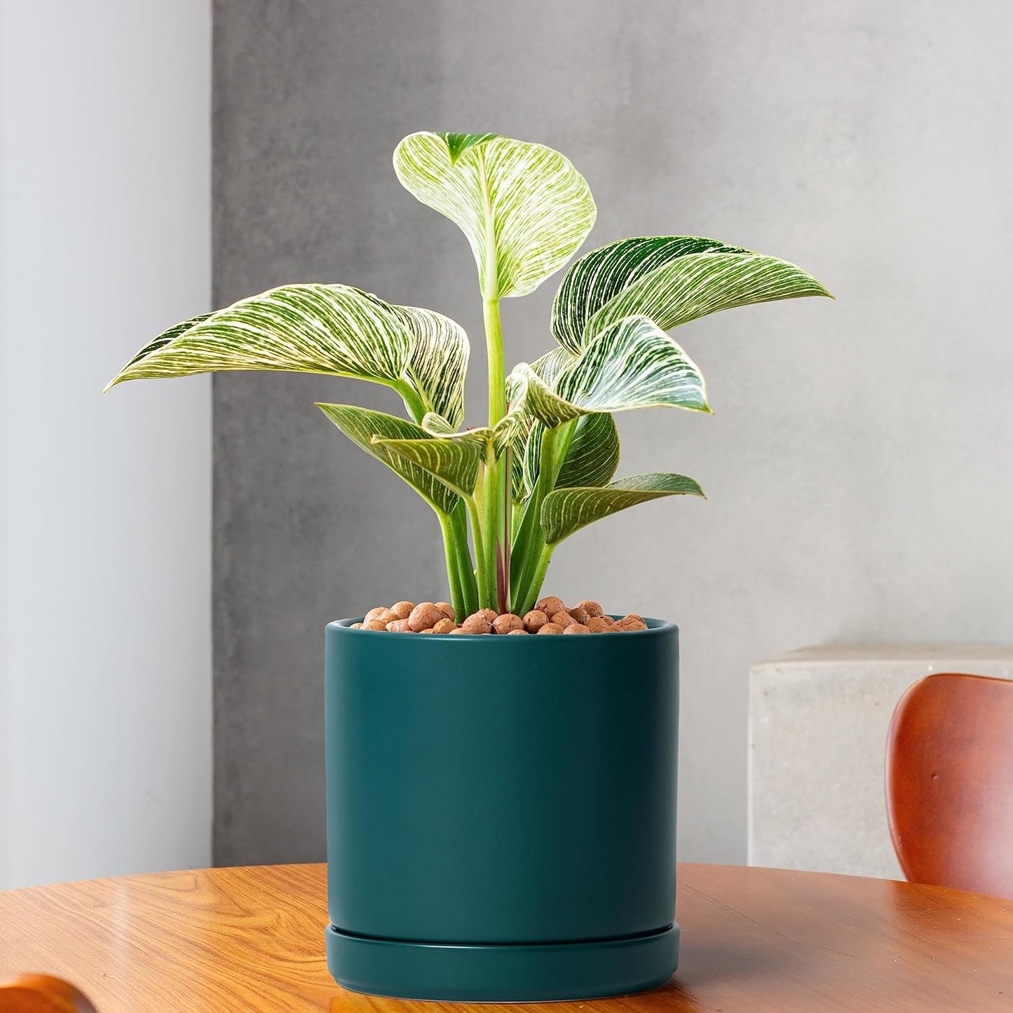 D'vine Dev 6 Inch Ceramic Planter Pot with Drainage Hole and Saucer, Indoor Cylinder Round Planter Pot, Teal, 94-O-C-9