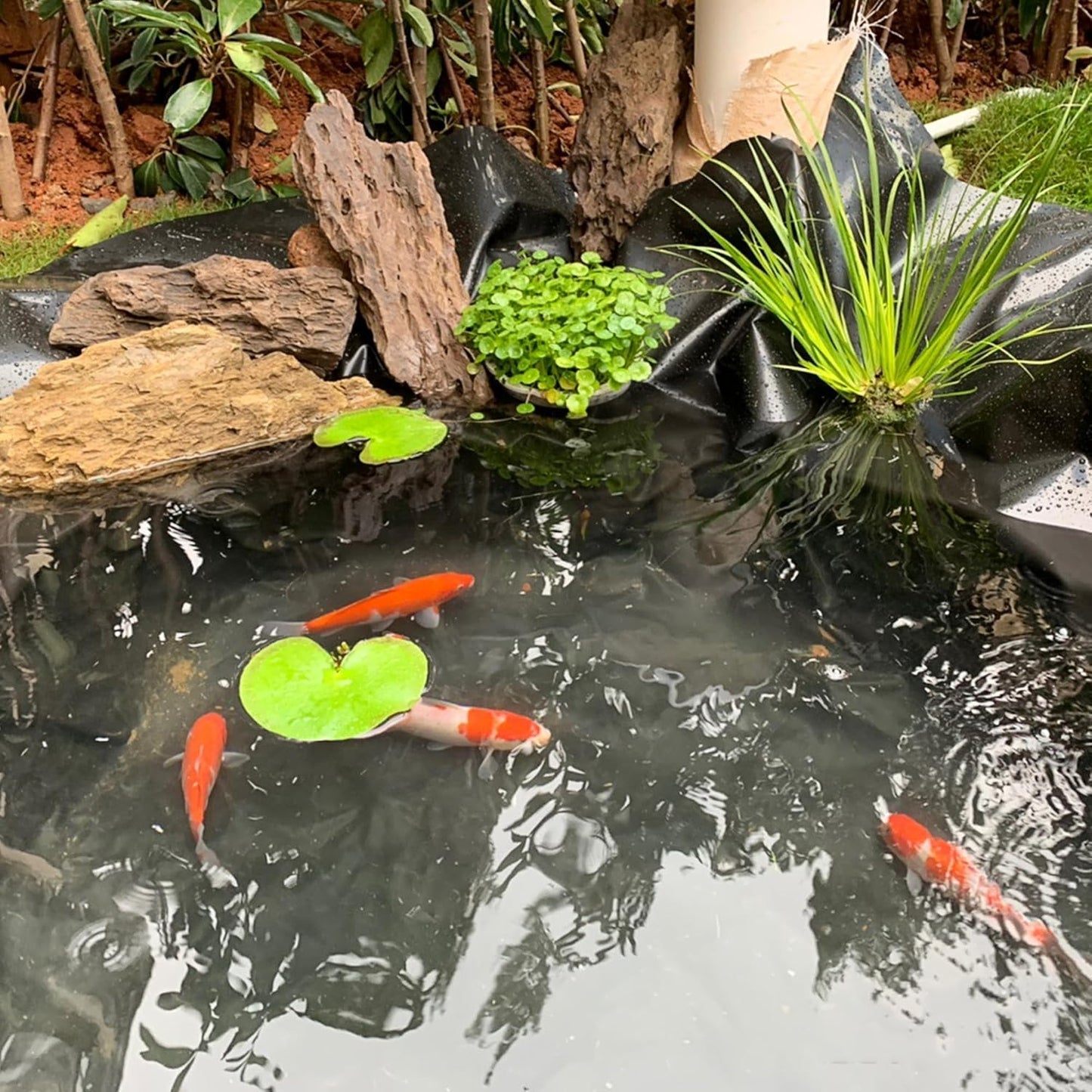7 x 10 FT Pond Liner, 20 Mil Fish Pond HDPE Liner, Pond Liners for Outdoor Ponds, Koi Ponds, Garden Fountain, Waterfall