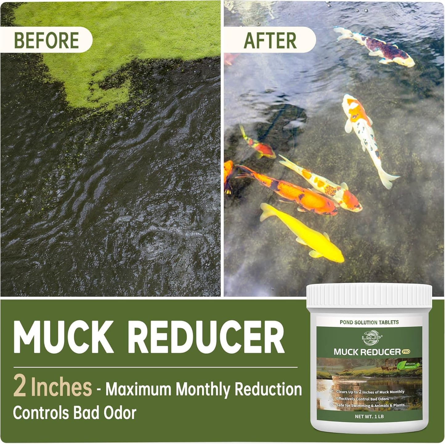Muck Reducer - 1LB Natural Sludge Solution Tablets for Ponds & Lakes, Away Muck & Odor Control, Safe for Aquatic Life, Wildlife & Recreation, Treats Up to 6,000 Sq Ft