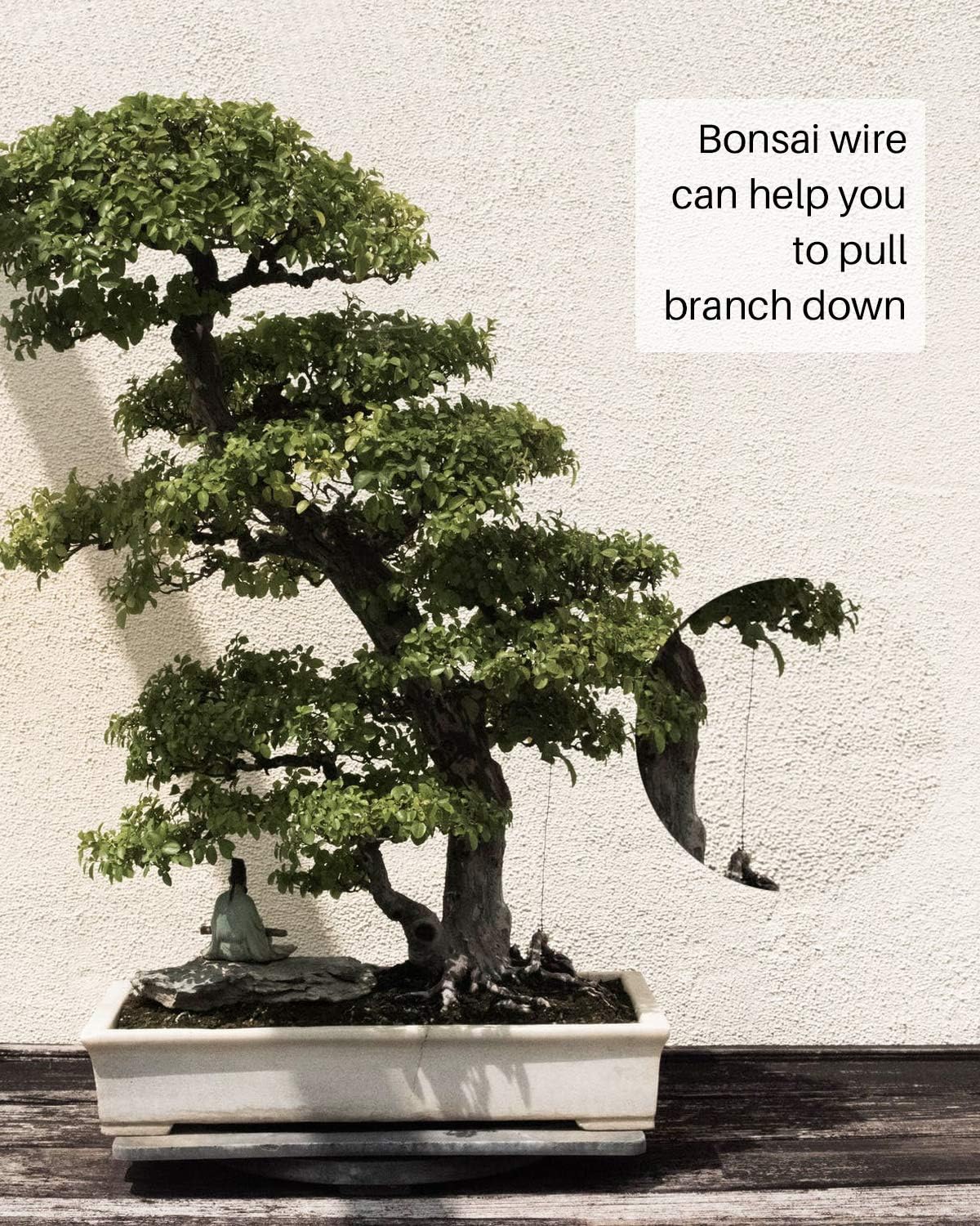 MoHern Bonsai Wire and Bonsai Tool Kit, Total 164 Feet Bonsai Tree Wire for Bonzai Trees Indoor, Size of 1-mm, 1.5-mm, 2-mm Aluminum Wire