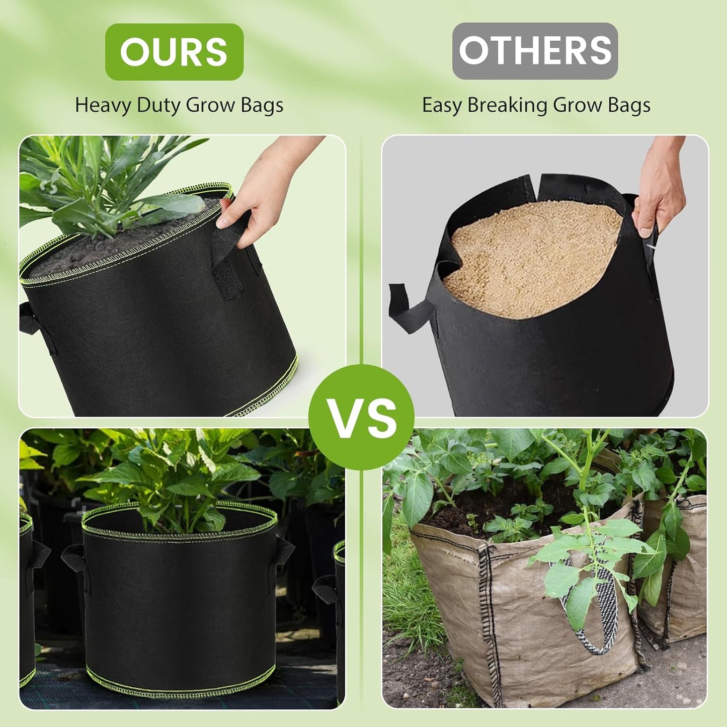 Grow Bags 10Pcs Heavy Duty 300G Fabric Pots for Plants,Thickened Nonwoven Garden Bags to Grow Vegetables,Large Nursery Pots,Tomato Grow Bags with Handles, Green Line Border (10 Gallons)