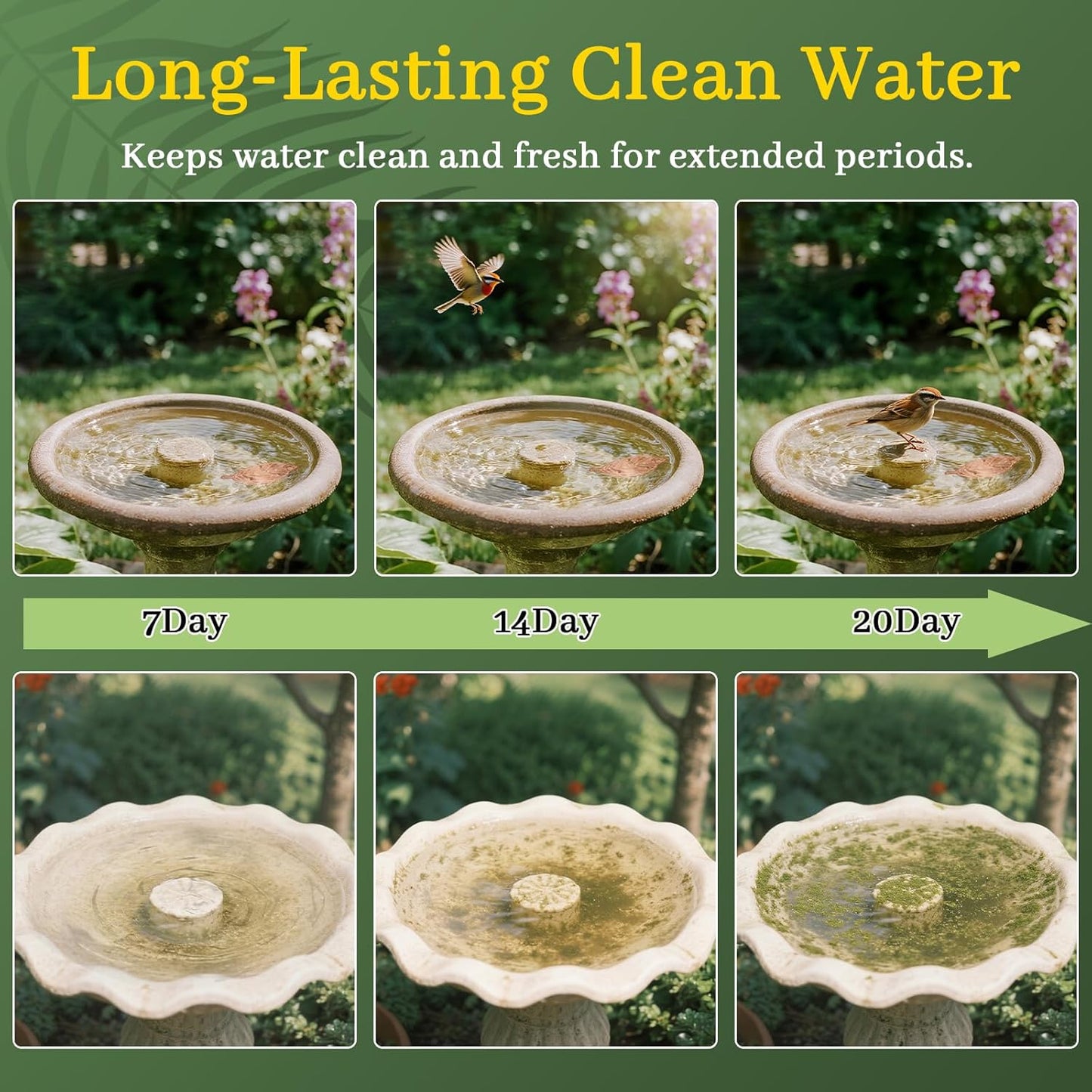 Bird Bath Copper Disk,Bird Bath Purification Disk 0.6mm Reinforced 99.99% Pure Copper Cleaning Disk with 3-Point Support,Fits Outdoor Birdbath & Bowl,Provide Safe Clean Water,Leaf-2Pcs