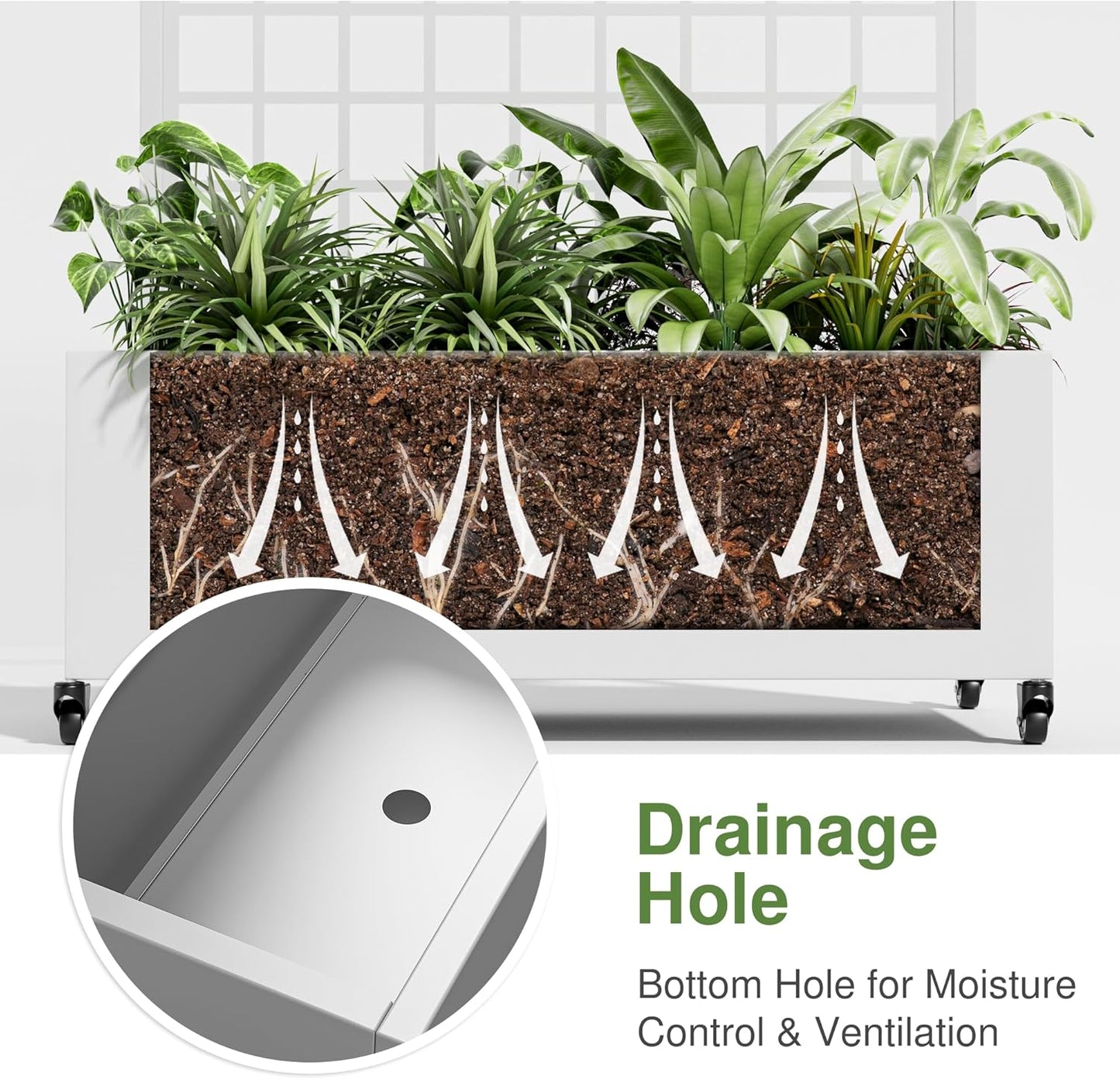 Casaphoria Metal Raised Garden Bed with Trellis and Wheels, 72"x35"x16" Planter Box for Climbing Plants, Vegetables & Vines, Features Drainage Holes and Privacy Screen (White-Square)