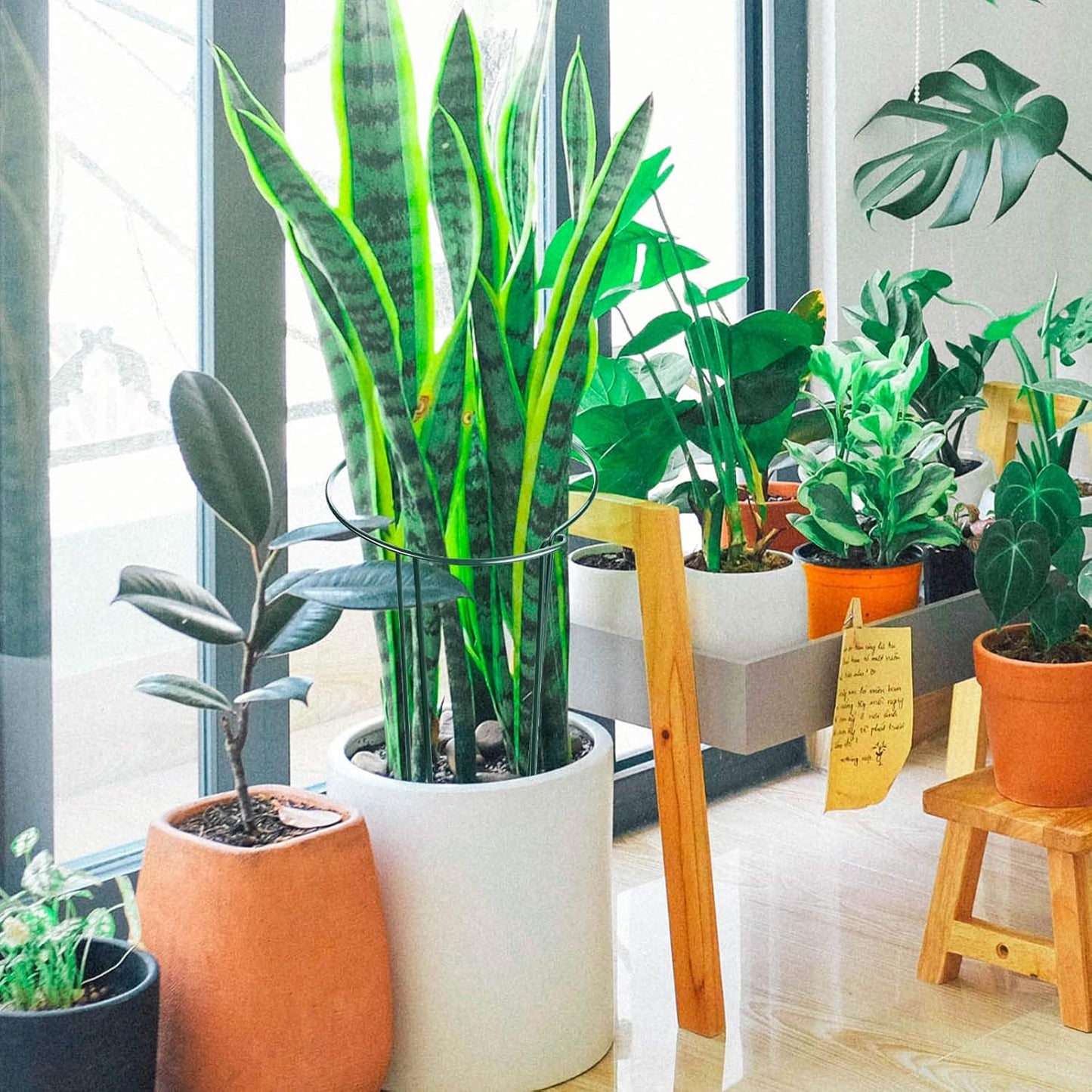 HiGift 8 Pack 24 Inch Plant Support Stakes, 10" Wide x 24" High Half Round Metal Garden Plant Stake Peony Support Cage, Green Plant Support Ring Border for Tomato,Hydrangea,Flower Indoor Outdoor