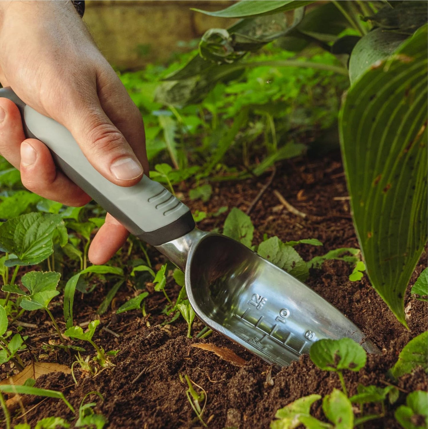 Woodland Tools Heavy Duty Garden Transplanter - Narrow Anodized Aluminum Hand Shovel with Depth Markings and Ergonomic Grip, Planting and Digging Tool for Soil, Flowers, Bulbs, and Raised Beds