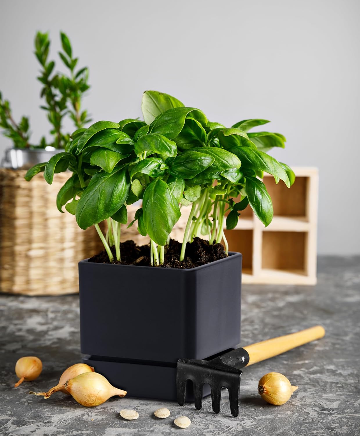 4 Inch Herb Planter Pot, Plastic Planter with Drainage Holes and Saucer, Modern Decorative Gardening Pot for Indoor Plants, Flowers, Herbs, Succulents, Black, Set of 2, 76-Y-B-2