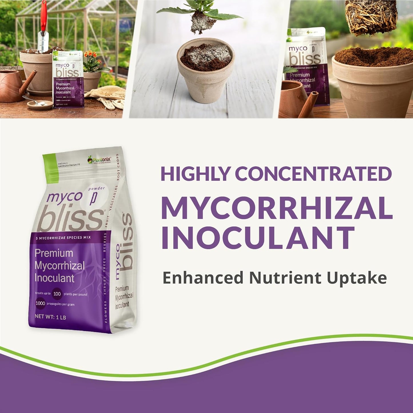 Myco Bliss Powder (5lbs) - Mycorrhizal Fungi for Soil - 5 Strain Mycorrhizal Inoculant with 1000 Propagules Per Gram - Highly Concentrated Mycorrhizae for Plants, Potting Soil, & Garden Soil