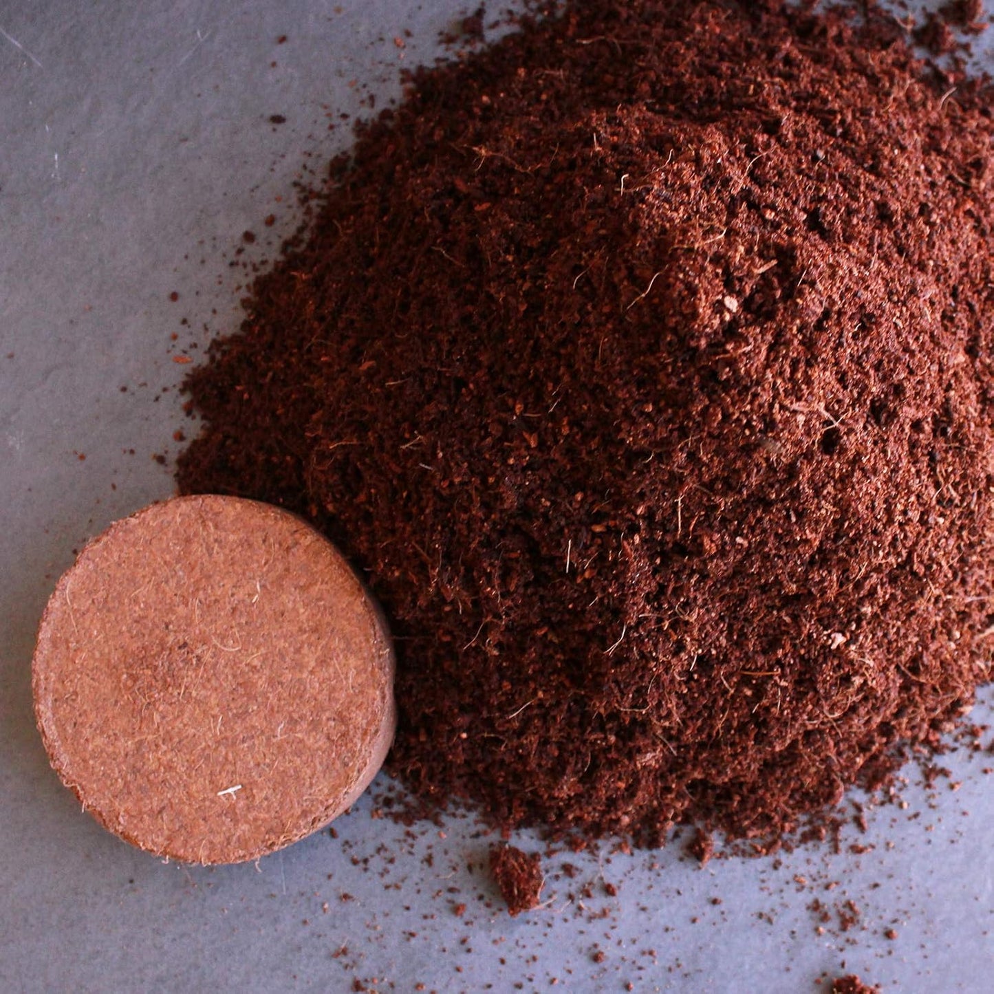 Minute Soil - Compressed Coco Coir Fiber Grow Medium - 80 MM Pucks - 10 Pack = 2.5 Gallons of Potting Soil - Indoor Container Growing: Wheatgrass, Microgreens, Flowers - Just Add Water - OMRI Organic