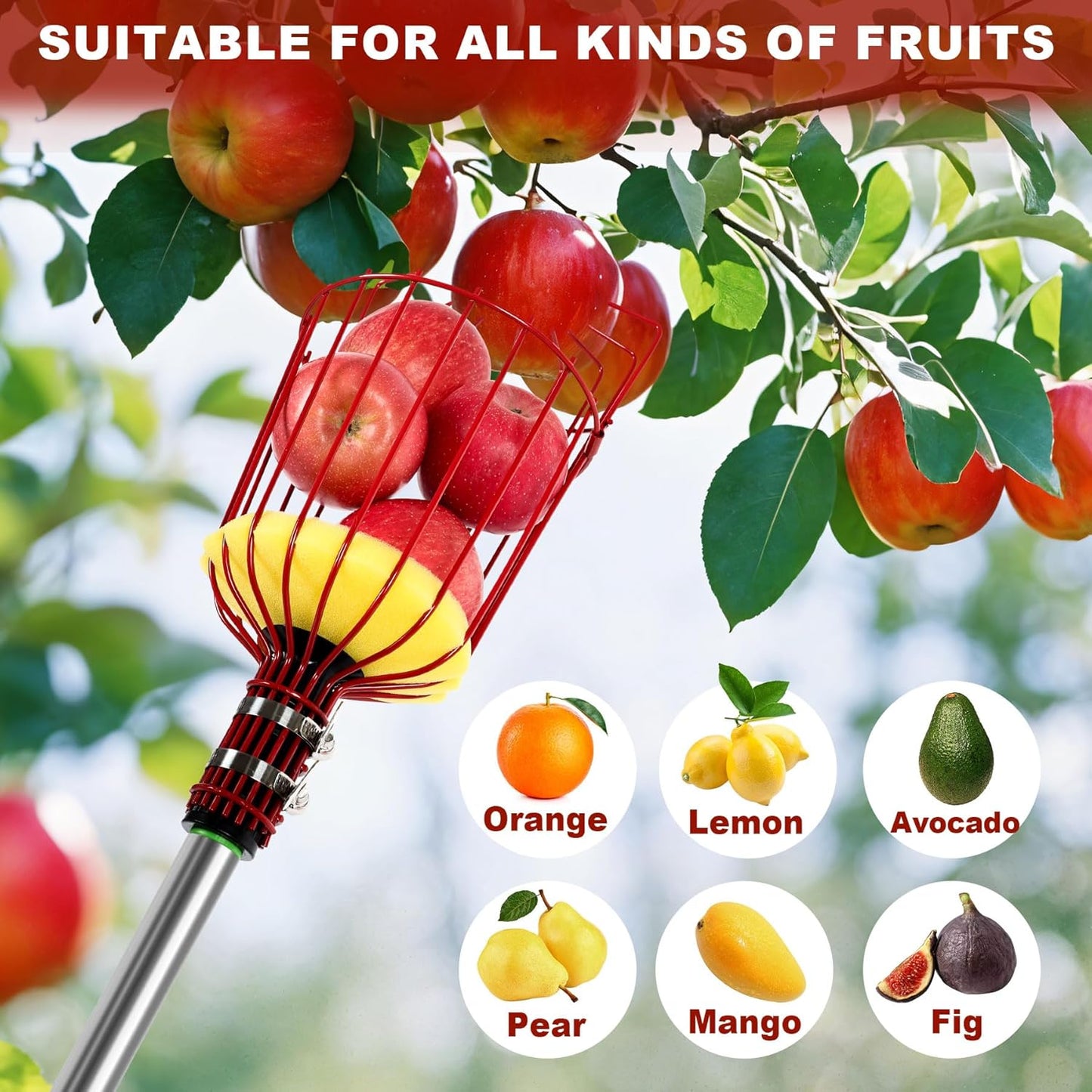 8 FT Fruit Picker Pole with Basket, Adjustable Fruits Picker Catcher Tool for Apple Mango Avocado Lemon Fig Citrus Orange Fruit Picker