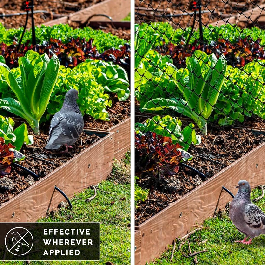 Bird-X Standard Bird Netting, Ideal for Gardens and Lightweight Applications, UV-Stabilized Mesh Netting with 3/4" Hole Opening, Easy to Install, 200' x 14'