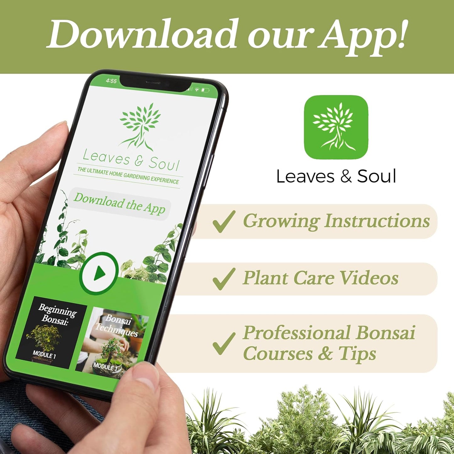 Professional Peace Lily Soil | Large 2.2 Quarts Ready to Use for Peace Lily Plants | Peat Moss, Coco Coir, Perlite, Dolomite | Made in USA