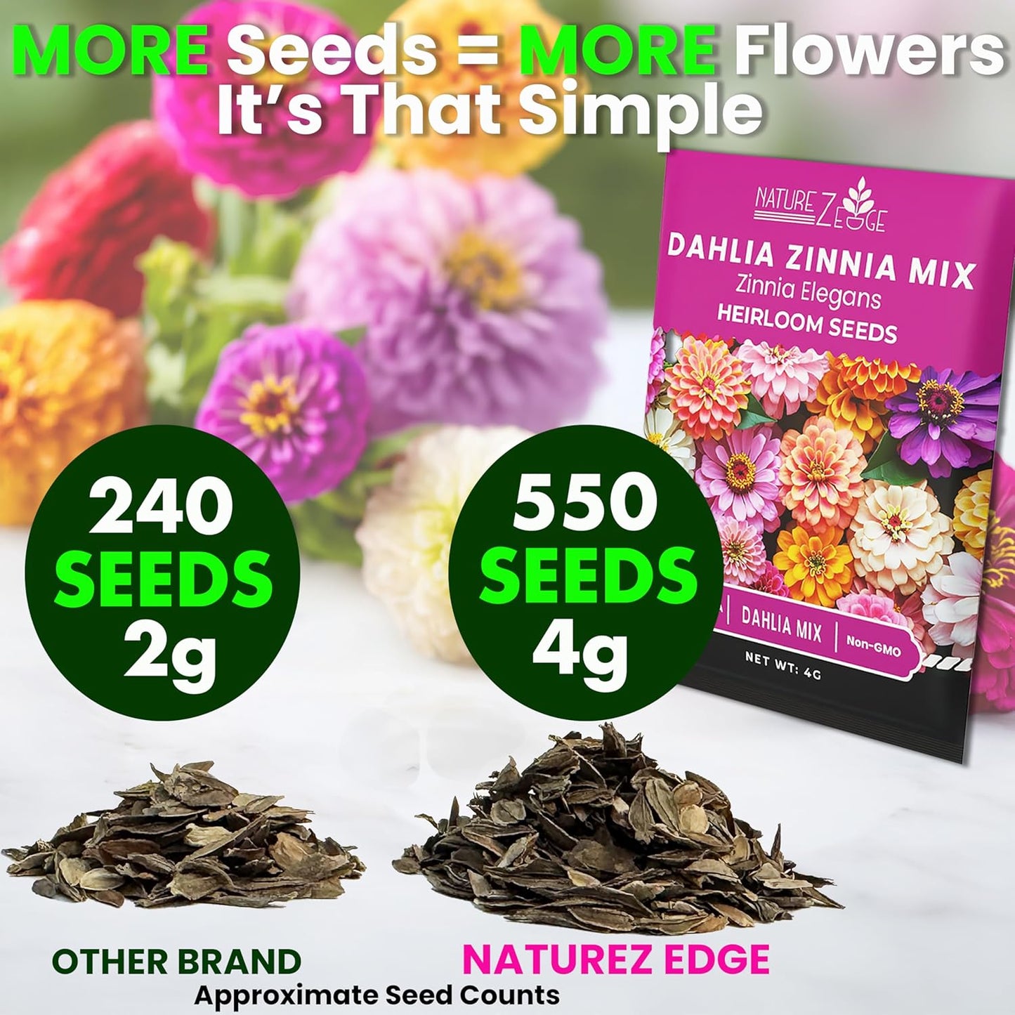 NatureZ Edge Zinnia Seeds for 2025 Planting Outdoors, Over 550 Flower Seeds, 4g, Non GMO Made in USA, Bulk Semillas De Flores para Sembrar, Dahlia Mix, Easy to Grow Zinnia Seed Mix