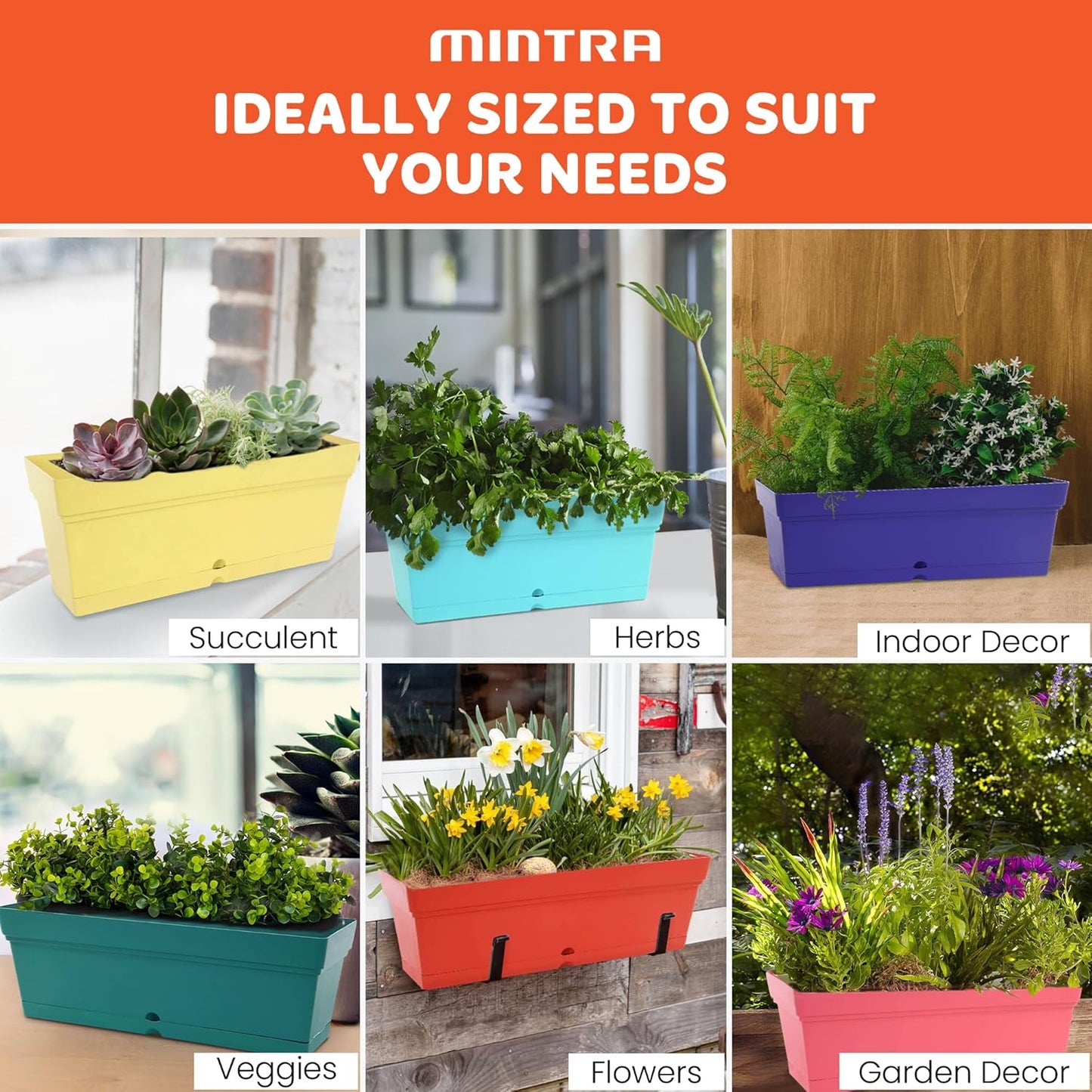 Mintra Window Box Planter, Window Planter Box for Indoor Outdoor Use, Rectangular Pots with Saucers & Drainage Holes, Decorative Plant Pots for Window Sill, Shelf, Desktop, 19" Wx6.75 H, Fuchsia