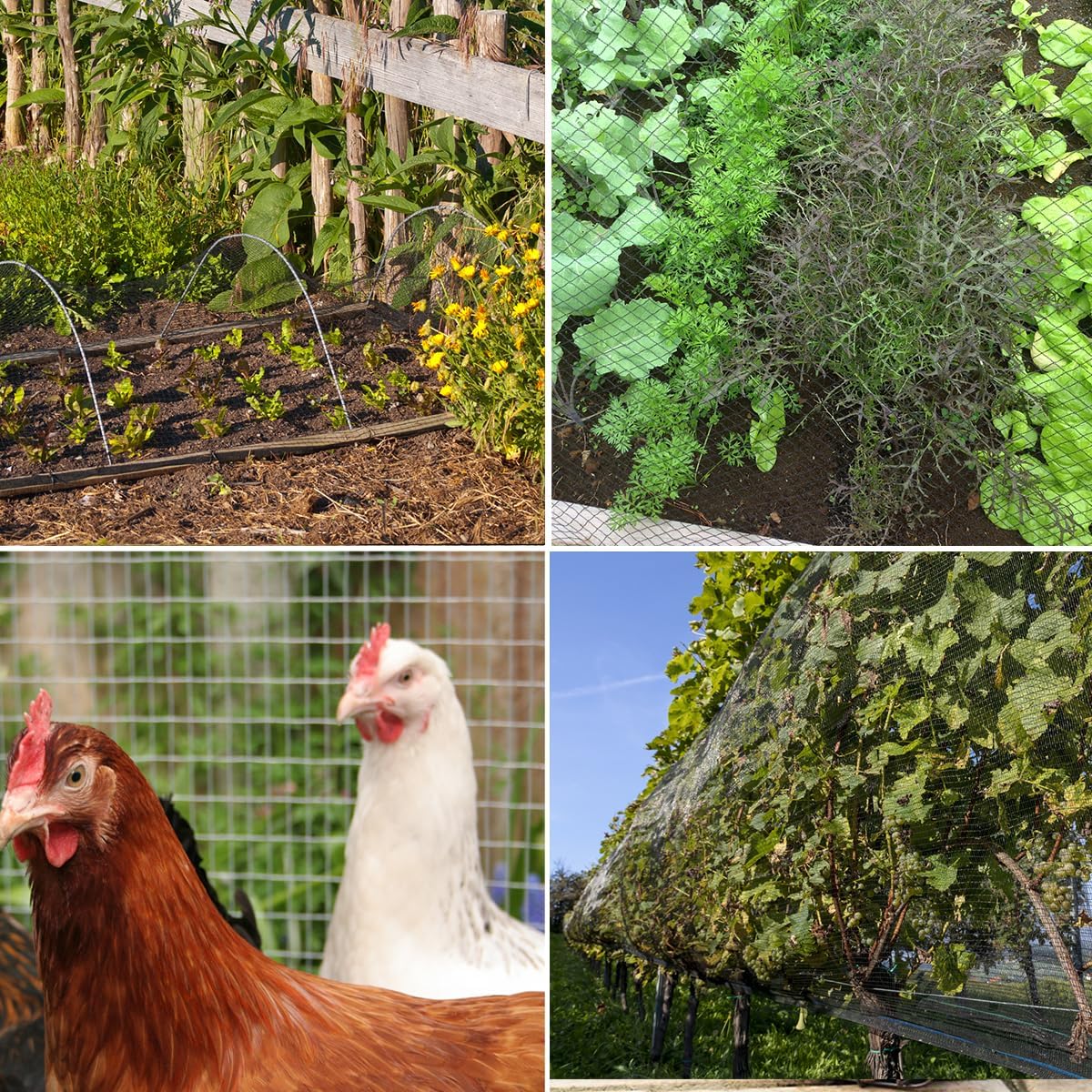 Bird Netting，15 x 30 FT Garden Netting Bird Net for Chicken Coop, Poultry Netting Fence for Fruit Trees, Plants and Vegetables Against Birds, Deer, Squirrels and Other Animals