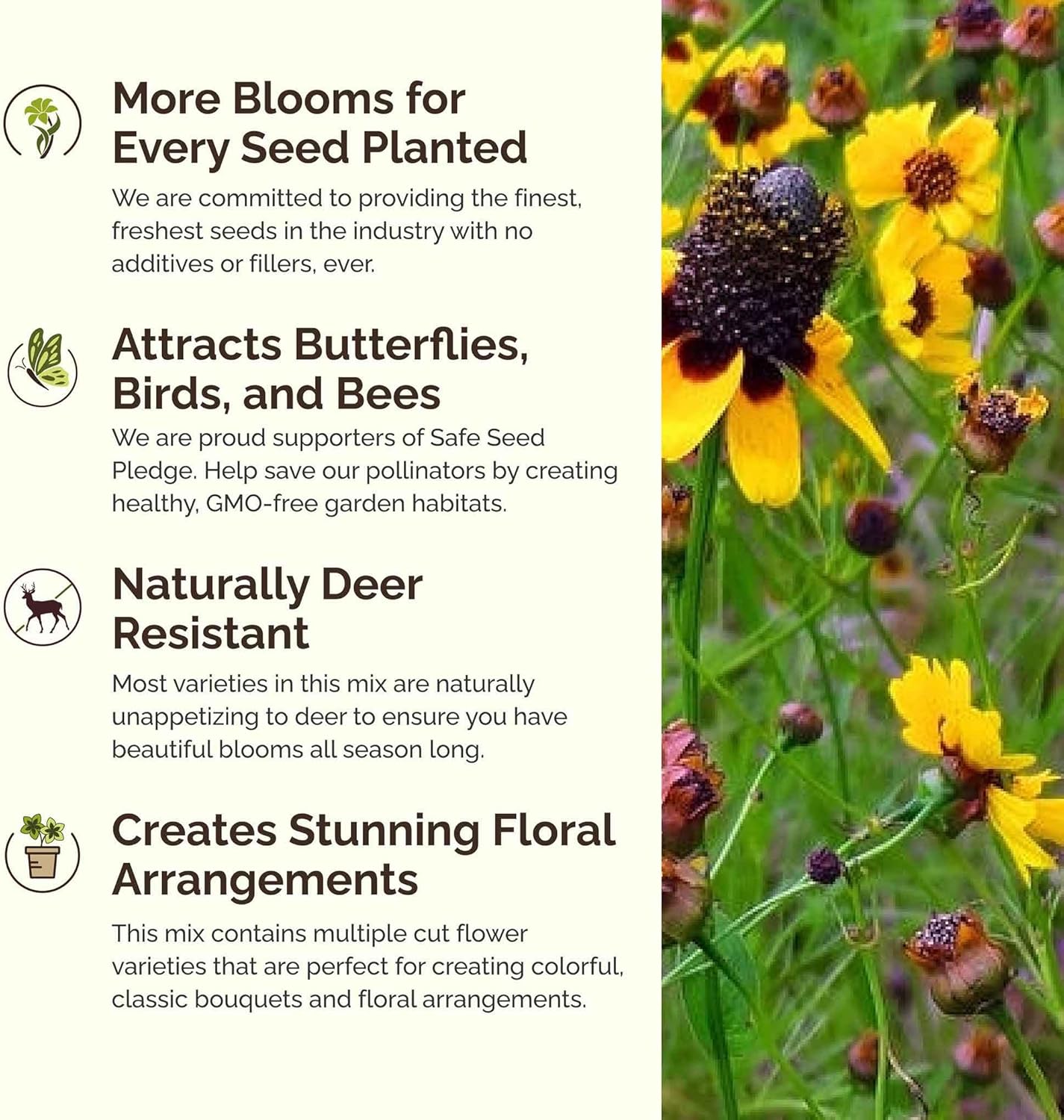 Eden Brothers Conehead Flower Mixed Seeds for Planting, 1/4 lb, 120,000+ Seeds with Prairie Coneflower, Mexican Hat | Attracts Pollinators, Plant in Spring or Fall, Zones 3, 4, 5, 6, 7, 8, 9, 10