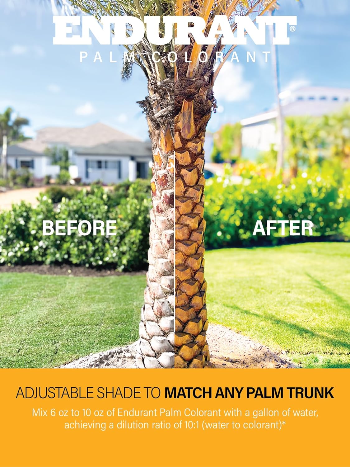 Endurant Palm Colorant – Non-Toxic Palm Tree Protector - Enhances Natural Beauty - Prevents Sunscald & Bark Damage -Easy Annual Application - Vibrant Long-Lasting Trunk Care - 32 oz
