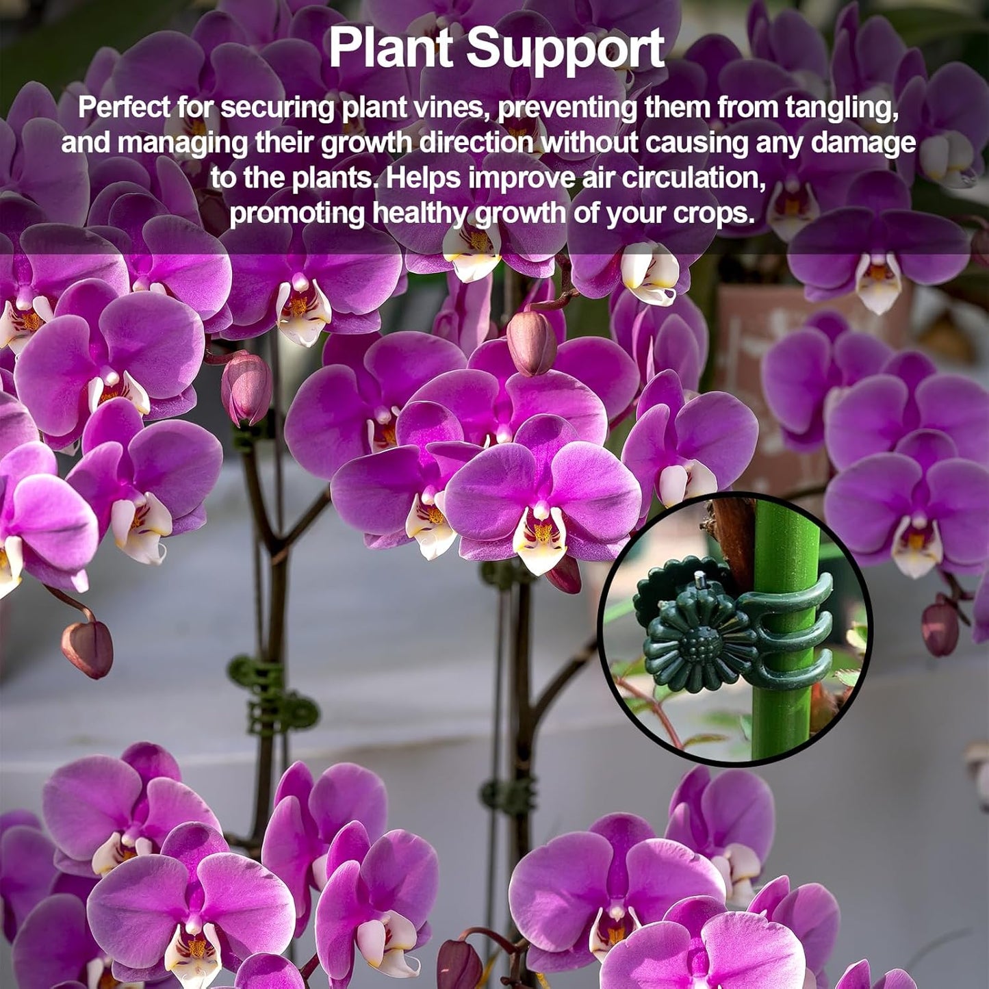100 Pcs Plant Clips Orchid Clips,Plant Orchid Support Clips,Flower and Vine Clips，Garden Clips，Plant Clips for Climbing Plants