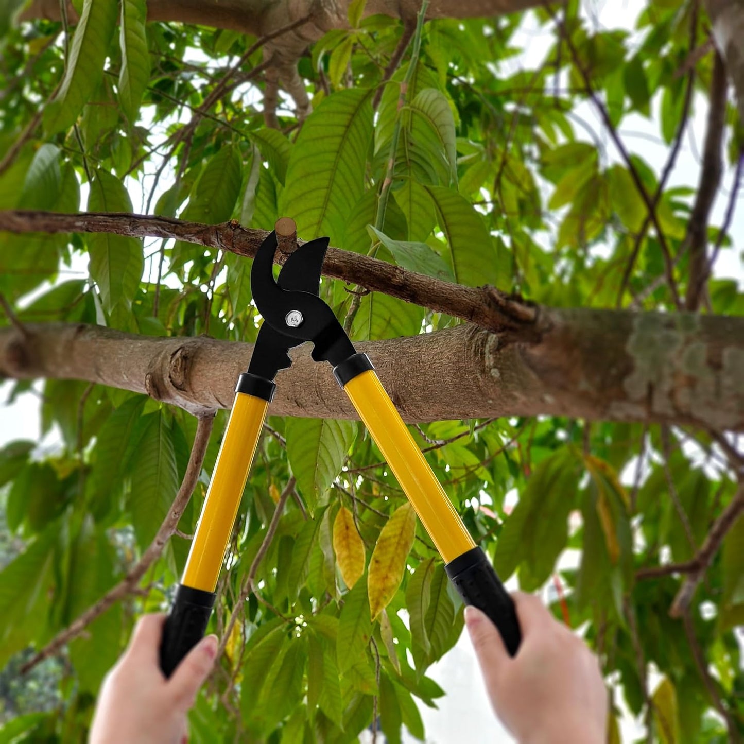 41-Piece Premium Gardening Tool Set, Stainless Steel Heavy Duty Gardening Tool Kit, with Non-Slip Rubber Grip, Storage Tote Bag, Outdoor Hand Tools, Ideal Gardening Gifts for All (Green)