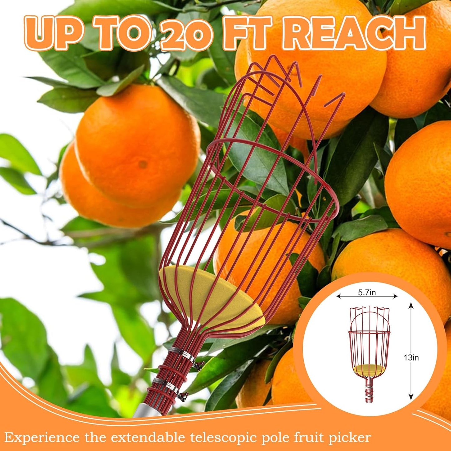 SISIUPASSIE 20FT Reach Fruit Picker, Apple Picker Pole with Basket Telescoping Tool for Apple Lemon Orange Mango Avocado Fruit Tree Picking