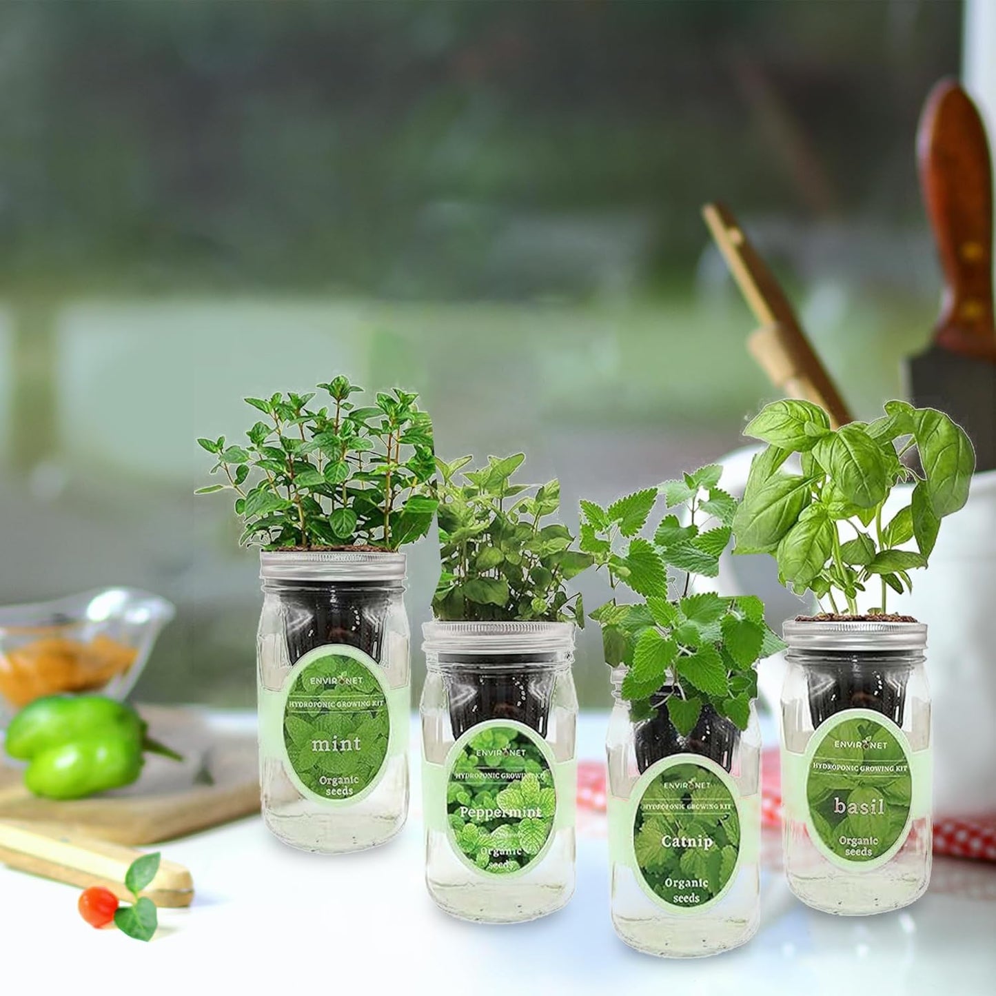 Hydroponic Herb Growing Kit Set, Self-Watering Mason Jar Herb Garden Starter Kit Indoor, Grow 4 Kinds of Herbs from Seeds (Catnip,Peppermint,Mint&Basil)