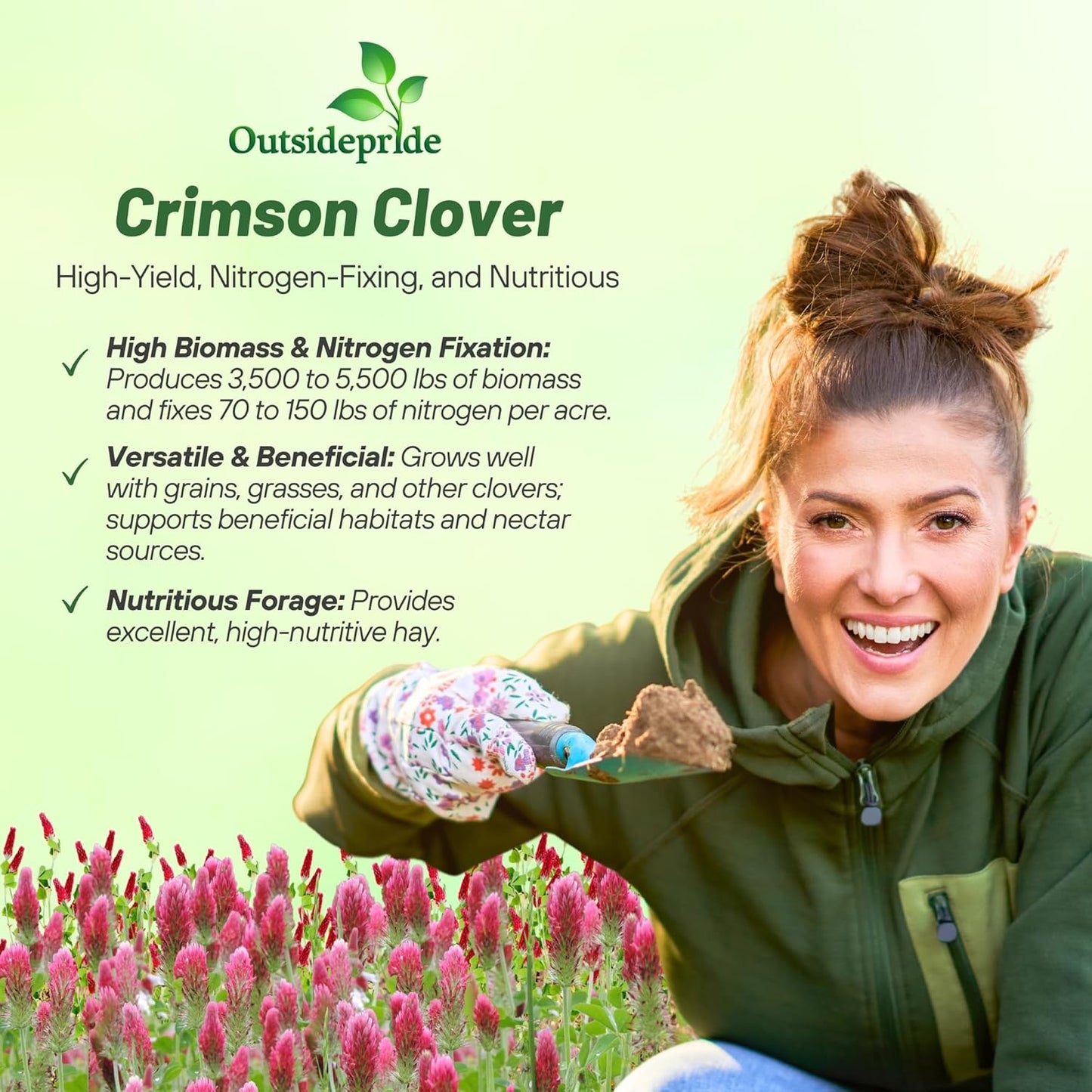 Outsidepride Crimson Clover Seeds - 2 lbs. Annual, Nitrocoated, & Inoculated Ground Cover Seeds, Ideal Clover Seed for Lawn, Cover Crop, Pasture, Hay, Green Manure & Wildlife Forage