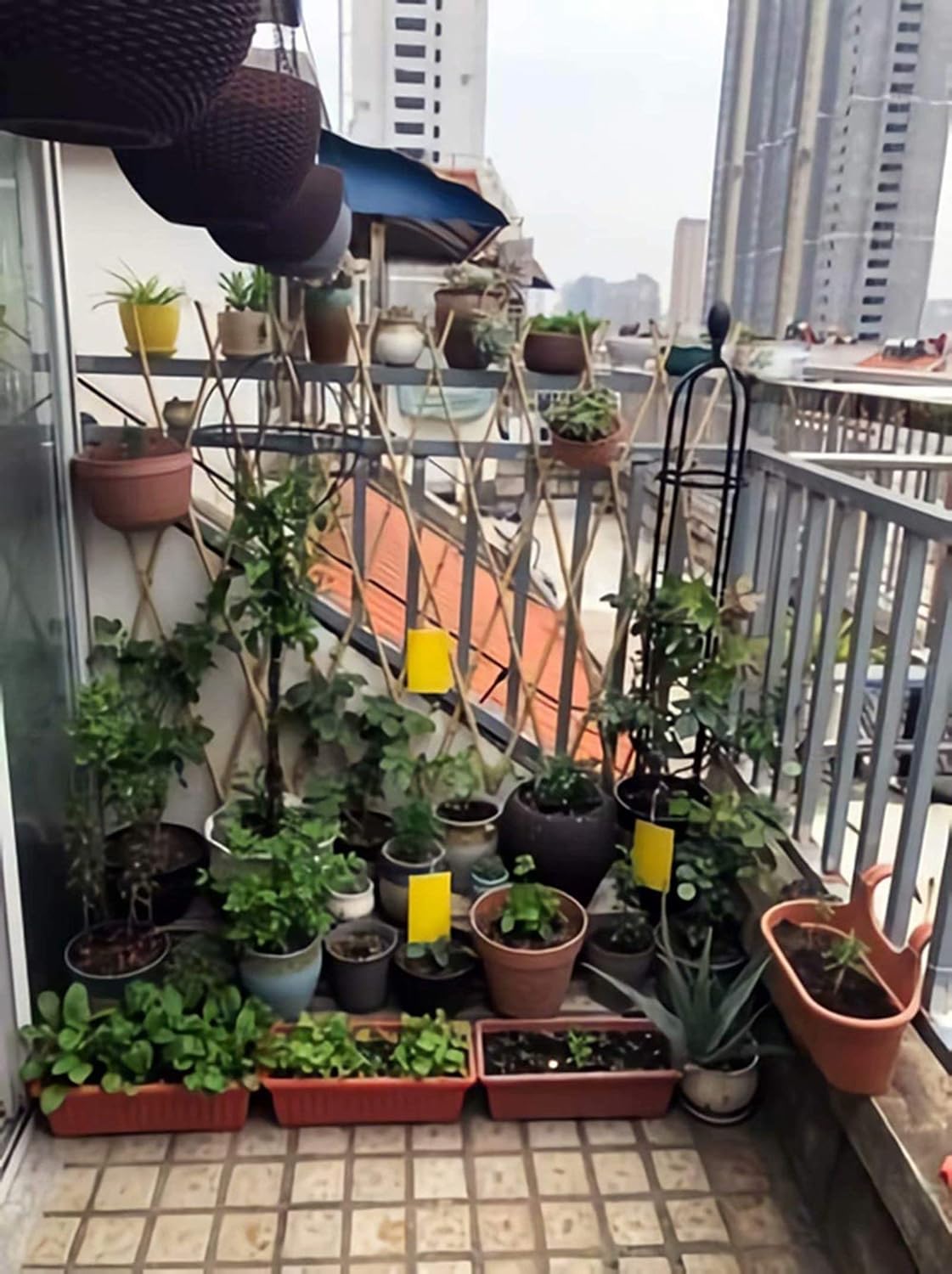 Faicuk 20 Pack Dual Sided Yellow Sticky Traps for Flying Plant Insect Like Fungus Gnats, Aphids, Whiteflies, Leafminers (6x8 Inches, Twist Ties Included)