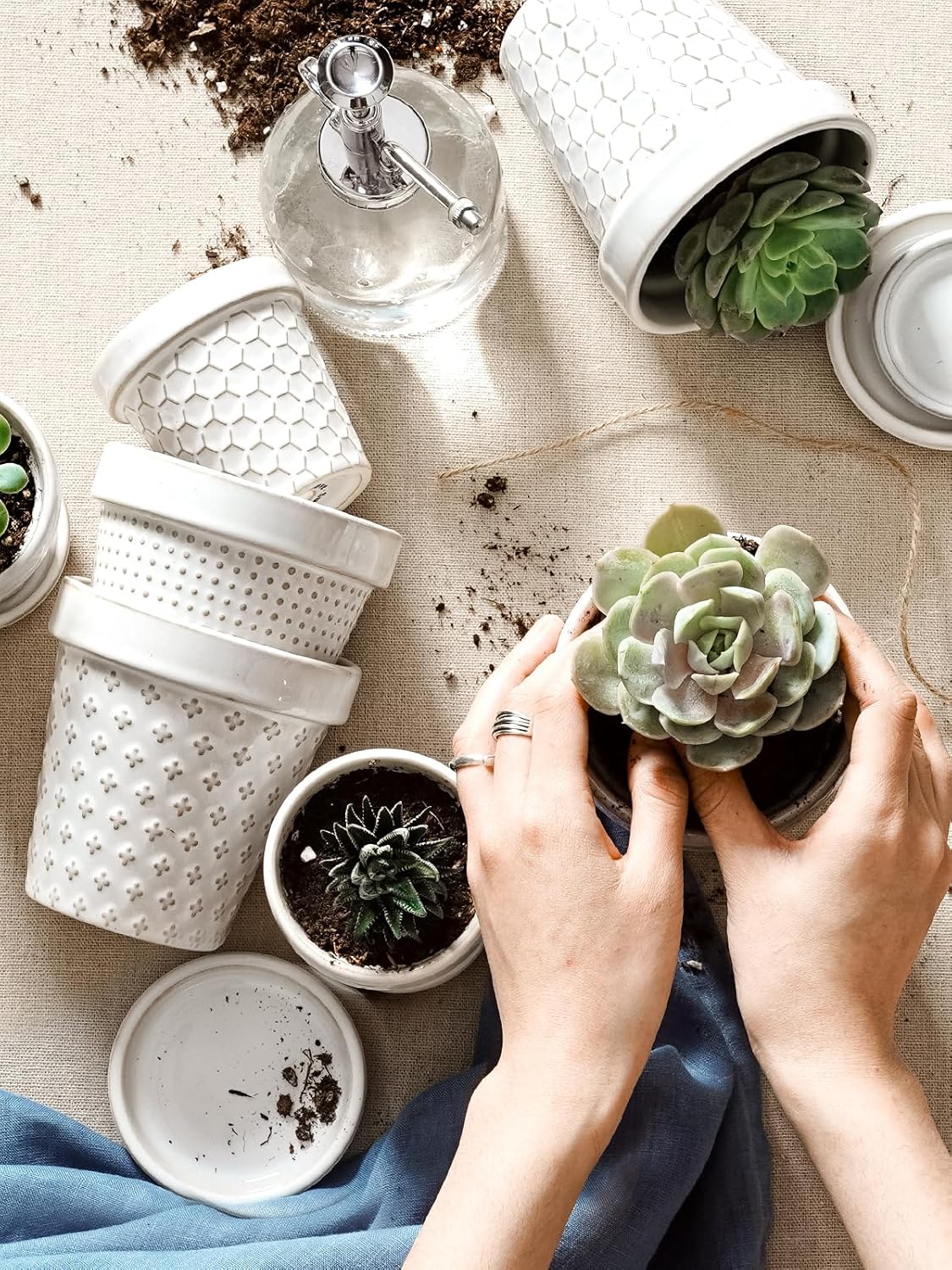 LE TAUCI Ceramic Succulent Pots, 4 Inch Small Plant Pot for Indoor Plant Cactus, Embossed Flower Pots with Drainage Hole & Saucer - Set of 4, Arctic White