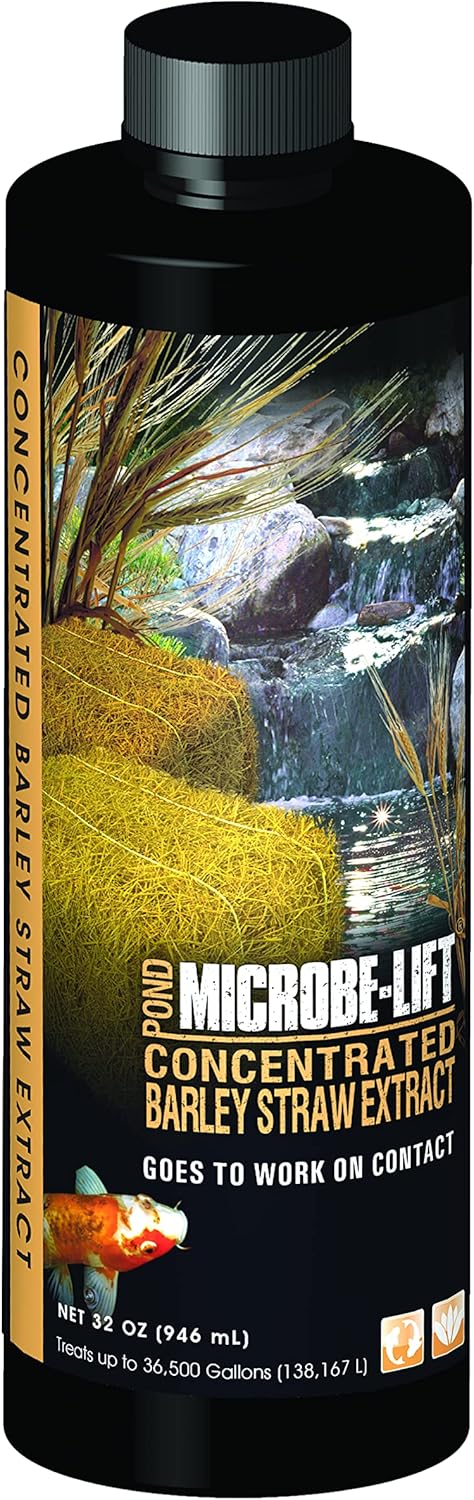 MICROBE-LIFT ALGA32 Algaway 5.4 Algae Control Treatment for Ponds and Water Gardens, 32 Ounces & MLCBSE1L Concentrated Barley Straw Extract Conditioner for Ponds and Outdoor Water Garden,32 Ounces