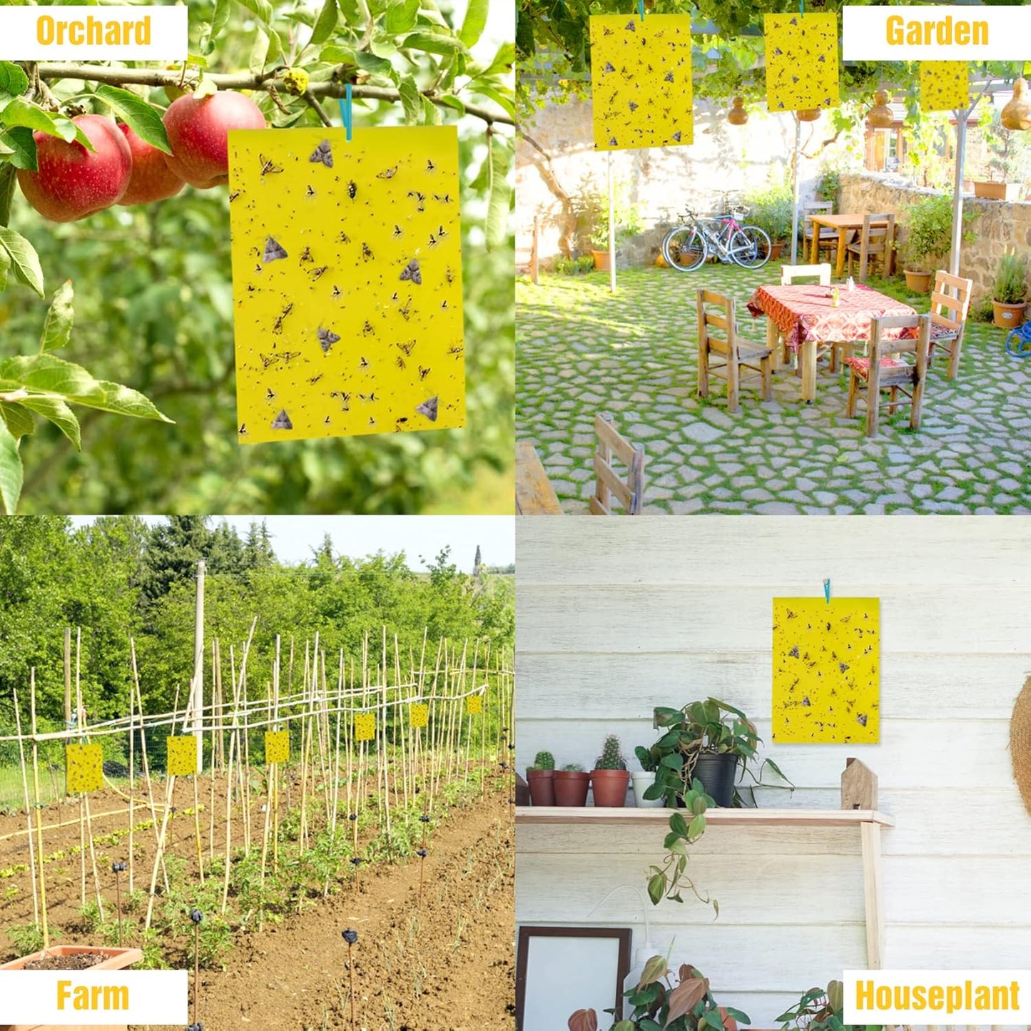 30 Pack Yellow Sticky Traps Fruit Fly Trap, Double-Sided Fungus Gnat Trap Insects Pest Killer for Outdoor Indoor