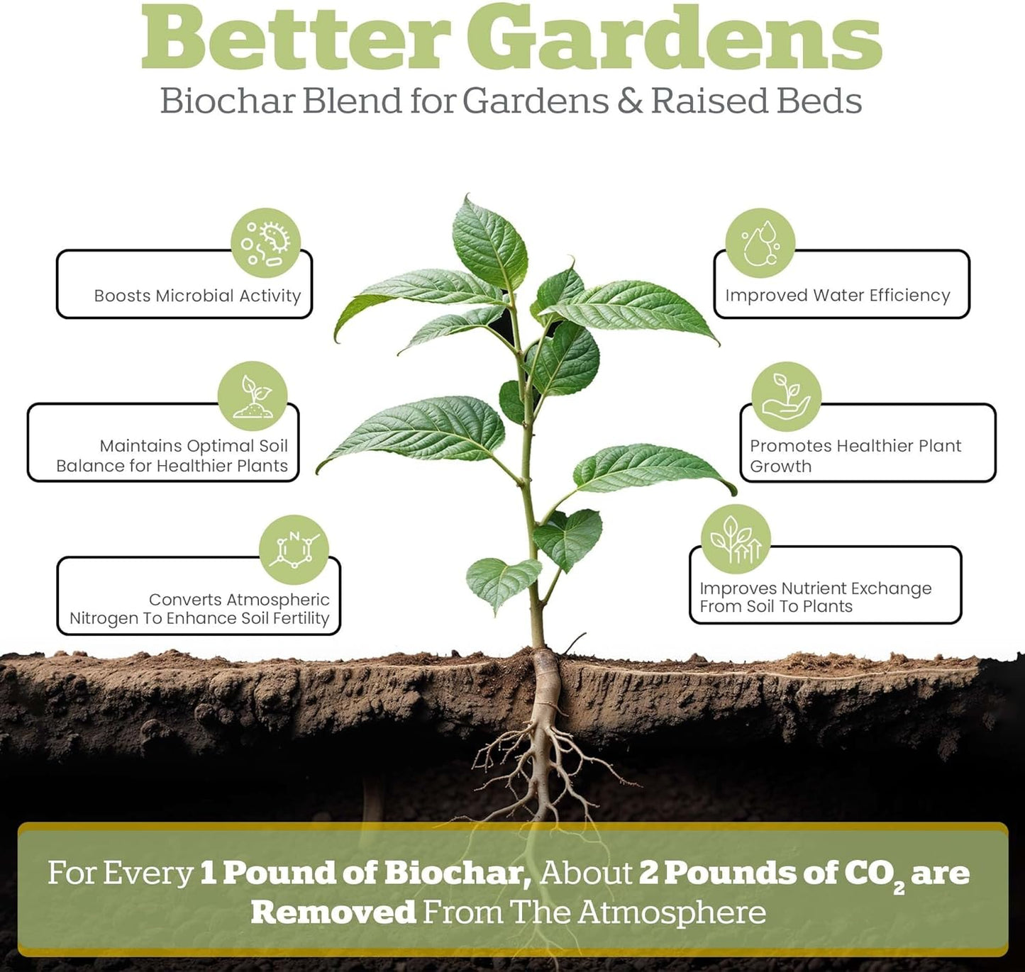 Wakefield Biochar Blend with CarbonBoost™ Technology – Enhanced Water & Nutrient Retention for Raised Bed Garden Soil - Ultimate Organic Potting Soil Mix for Vegetables, Gardens and Houseplants - 1CF