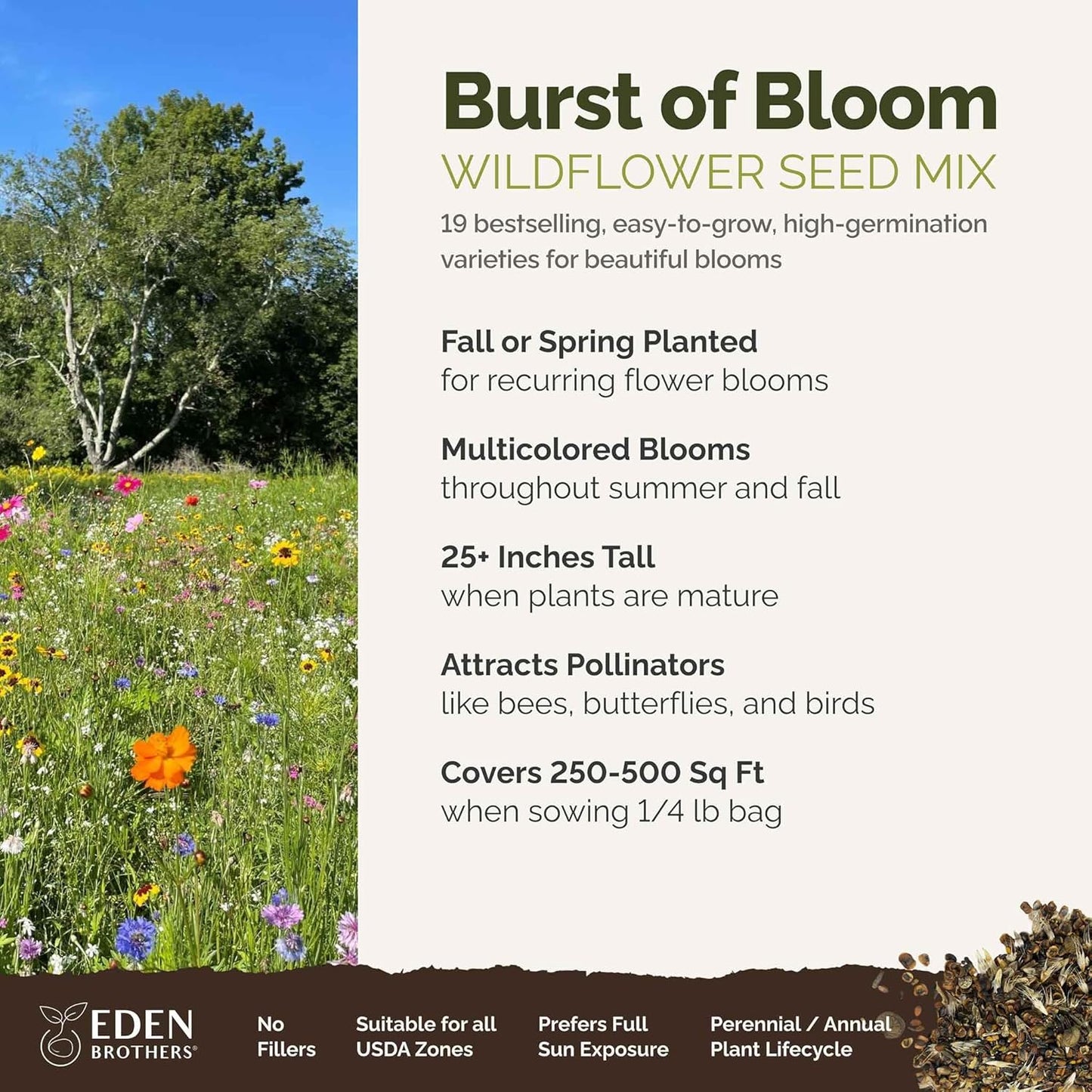 Eden Brothers Burst of Bloom Wildflower Mixed Seeds for Planting, 1/4 lb, 120,000+ Seeds with Cosmos, Black Eyed Susan | Attracts Pollinators, Plant in Spring or Fall, Zones 3, 4, 5, 6, 7, 8, 9, 10