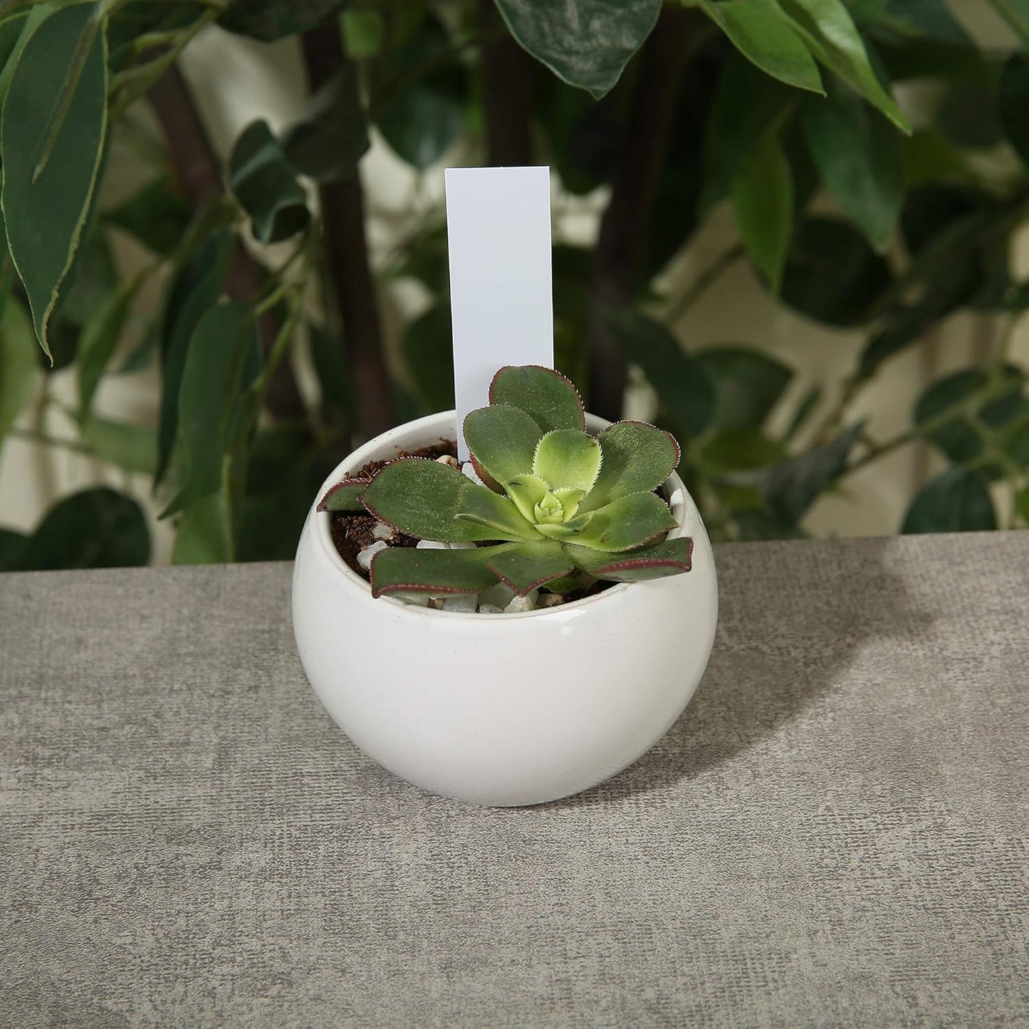 1000 Pcs Plant Tags, 4 Inch Plastic Garden Plant Pot Markers Waterproof Plant Labels, Multicolor