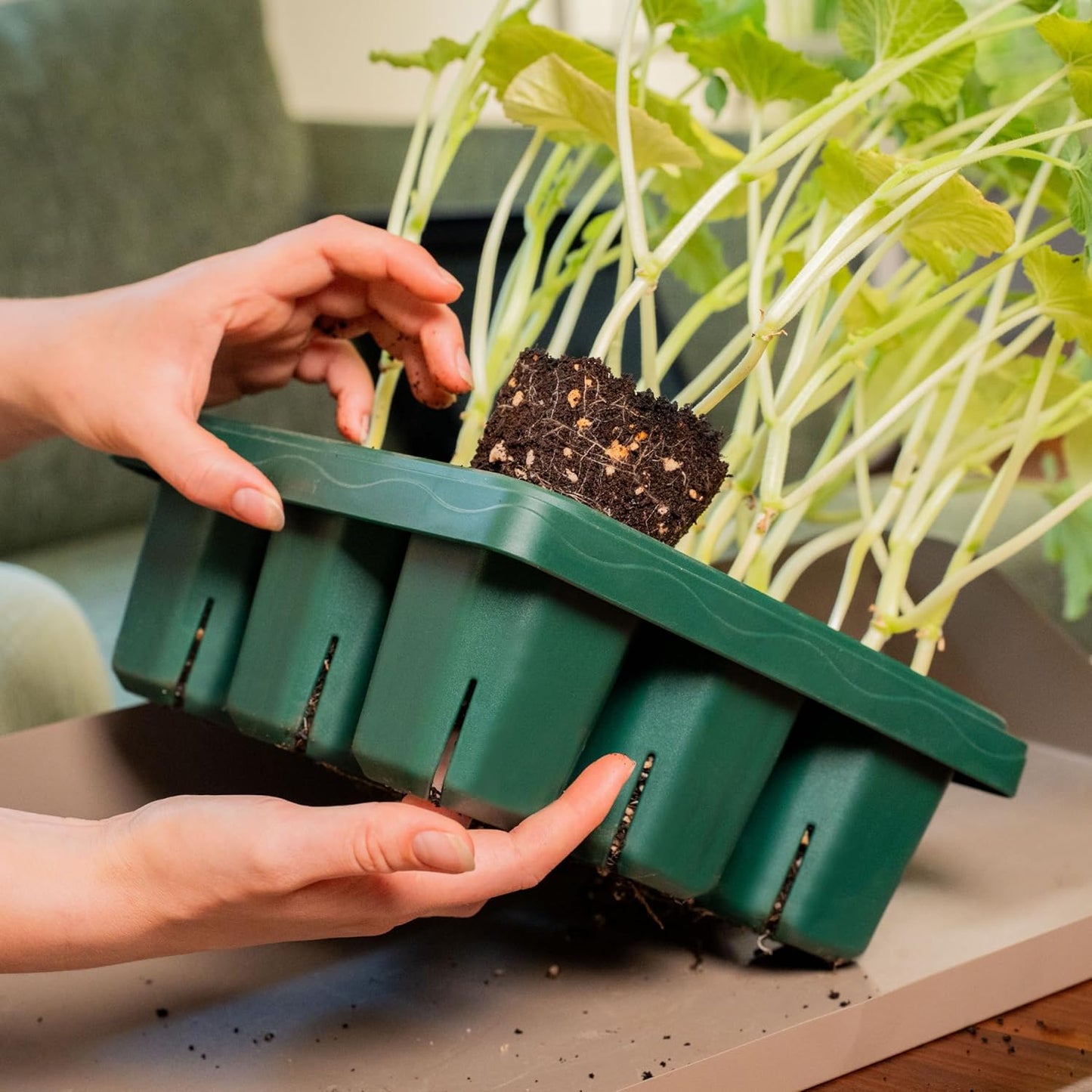 Vego garden Giga Seedling Trays - 4 Pack, 9-Cell UV-Resistant Reusable Starter Trays for Greenhouse/Garden (No Lids)